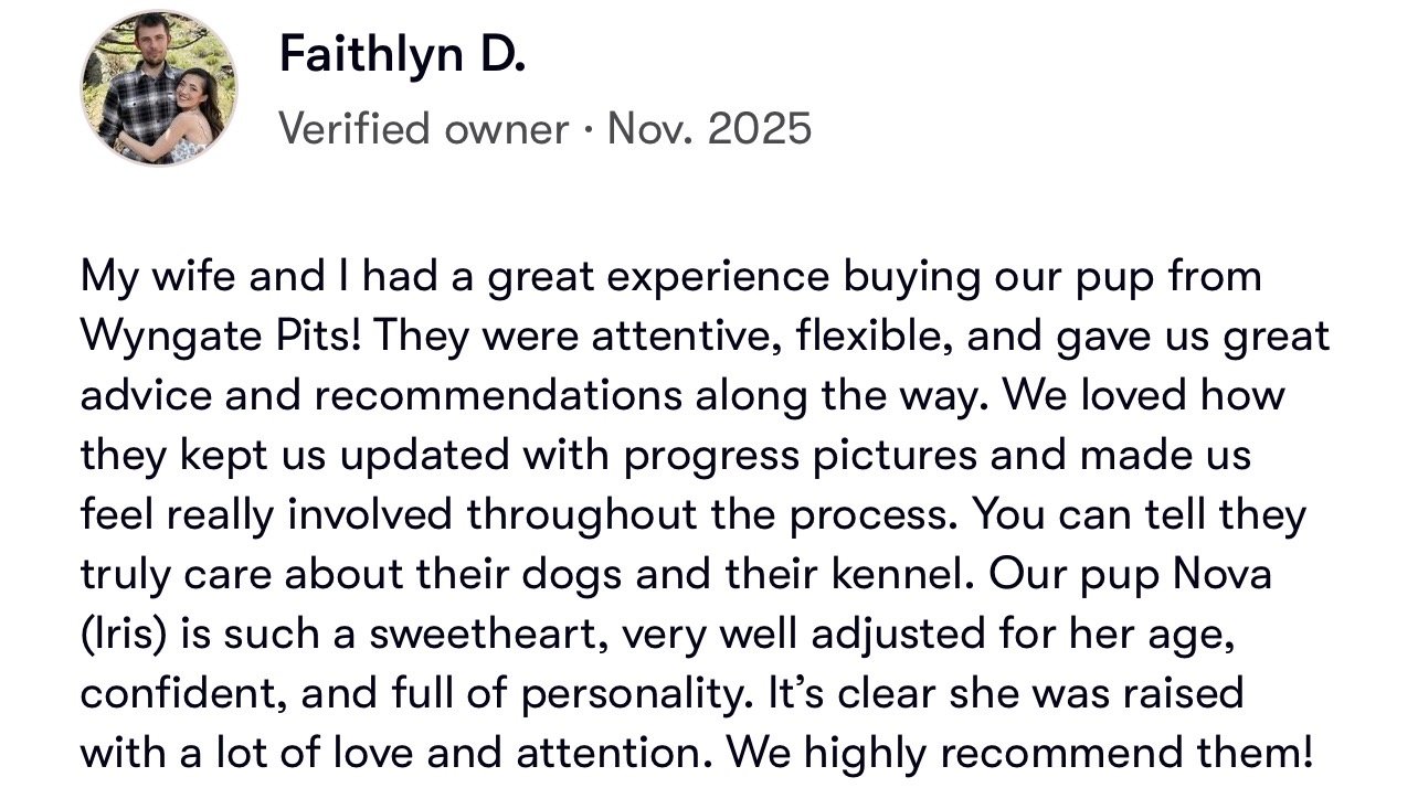“Five-star owner review for Wyngate Pits American Pitbull Terrier puppies for sale.”