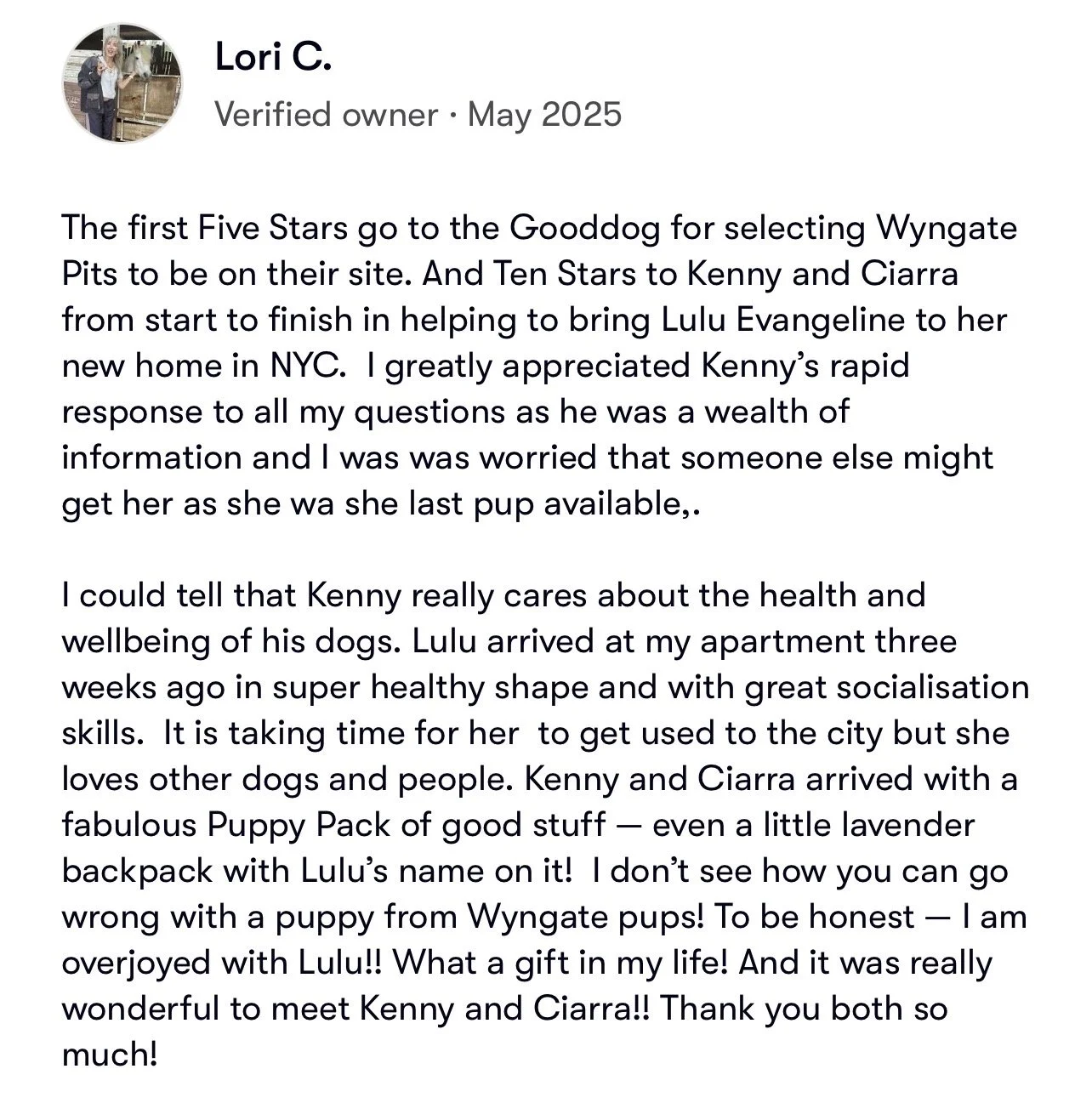 “Five-star owner review for Wyngate Pits American Pitbull Terrier puppies for sale.”