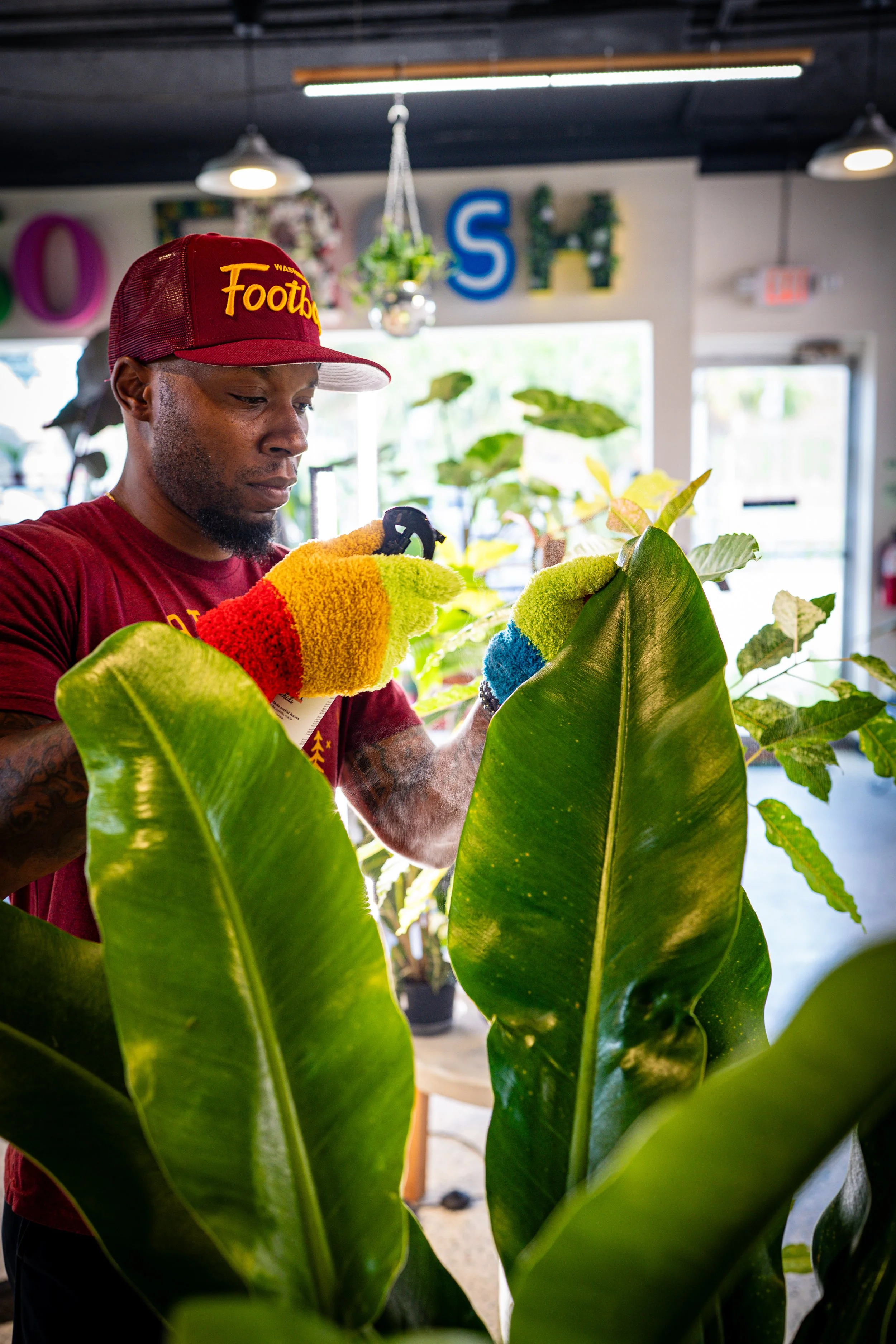 A man wearing colorful gloves and a red cap with the word 'Football' on it is tending to green houseplants inside a store. The background shows windows, lights, and decorative letters on the wall.