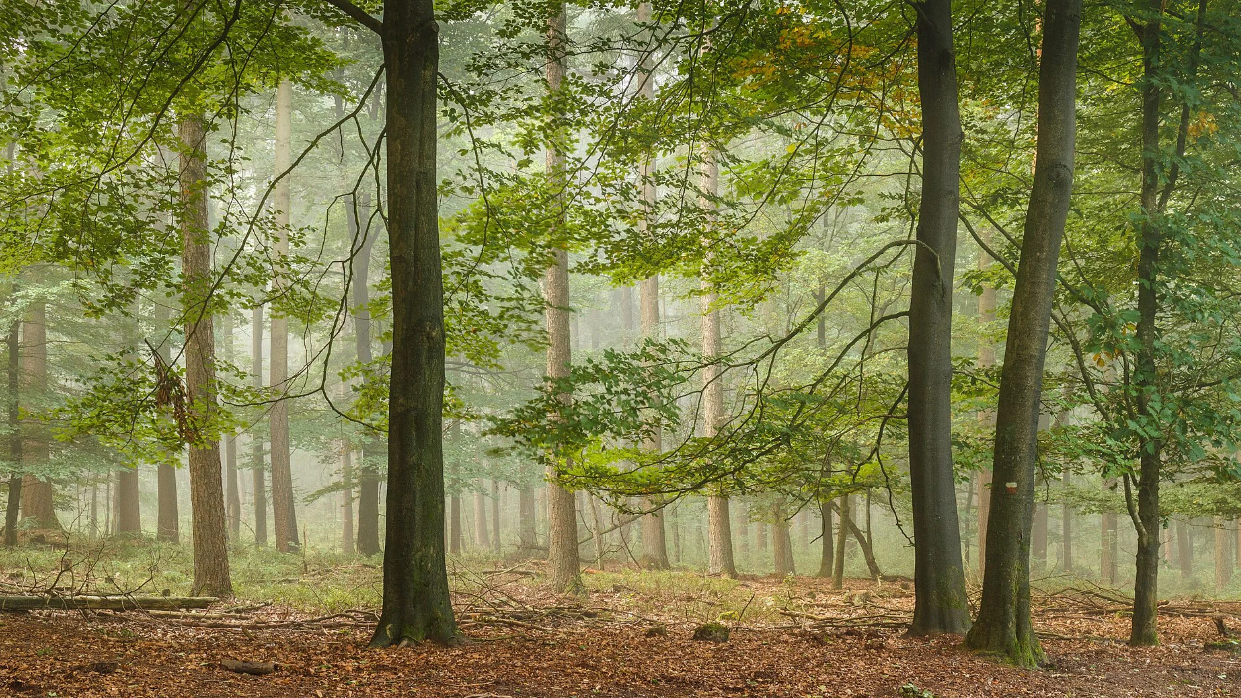 residential and commercial environmental inspection, testing