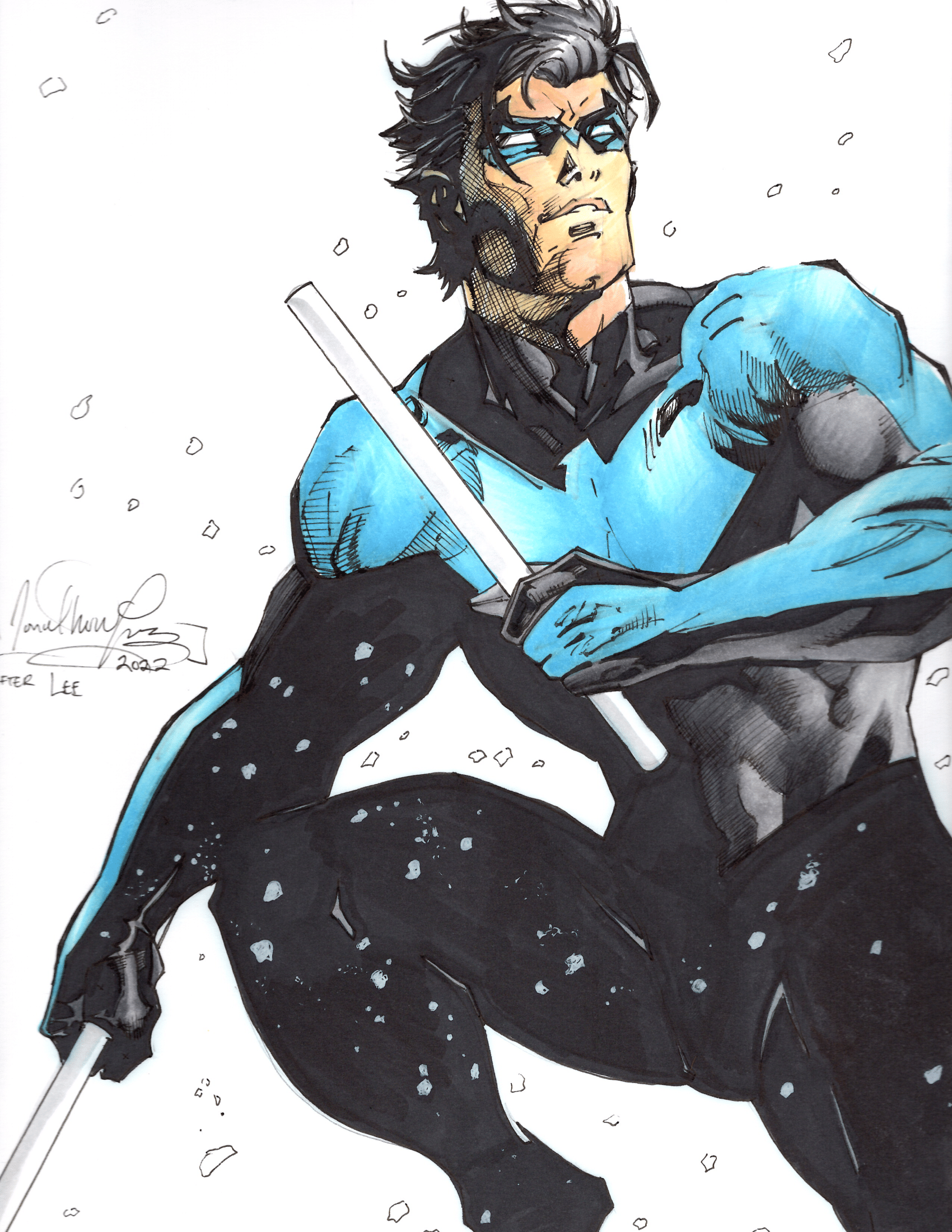 Snowy Nightwing