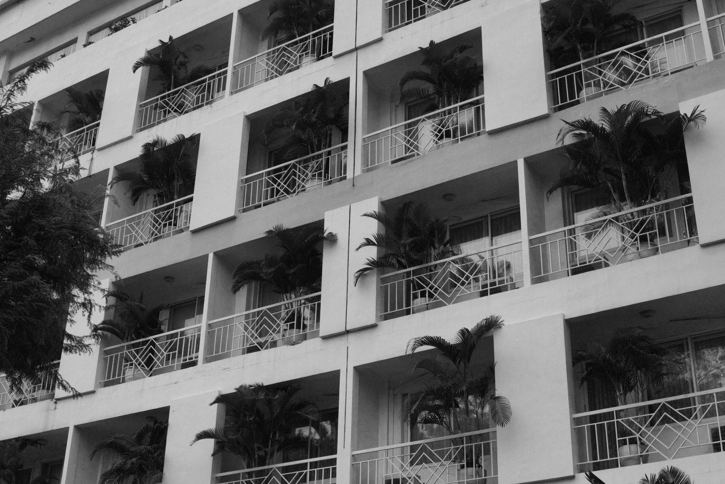 Black and white photo of a multi-story building with several balconies, each decorated with potted plants, and trees in the foreground.