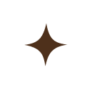 A brown star-shaped sparkle on a white background.