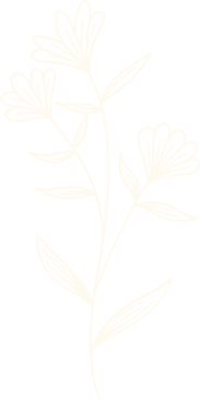 Simple line drawing of a flowering plant with multiple blossoms and leaves.