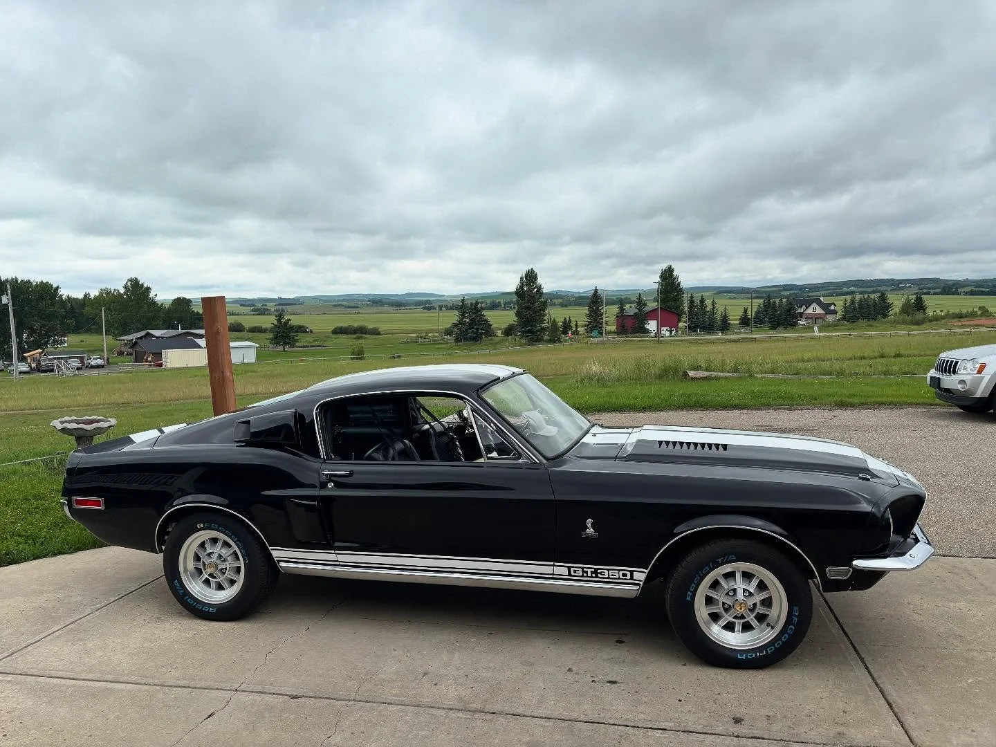 The &lsquo;68 GT350 we did stripes on brought some hardware home! Love to see it! #1968 #mustang #classiccars #classicmustangs #stripes #venom #wrap #albertacarshows #yyc #yycars