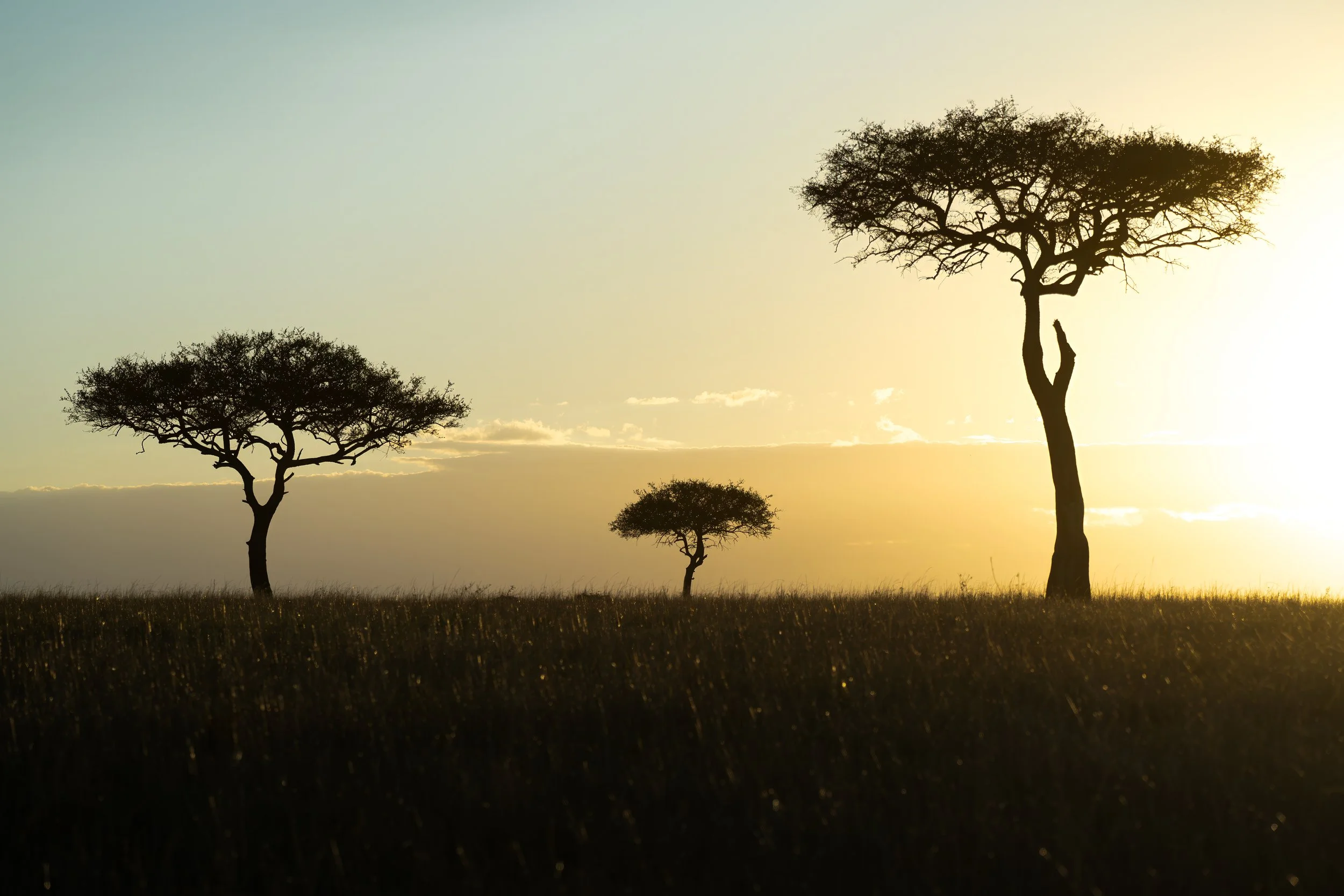 Maasai Mara Landscape 2