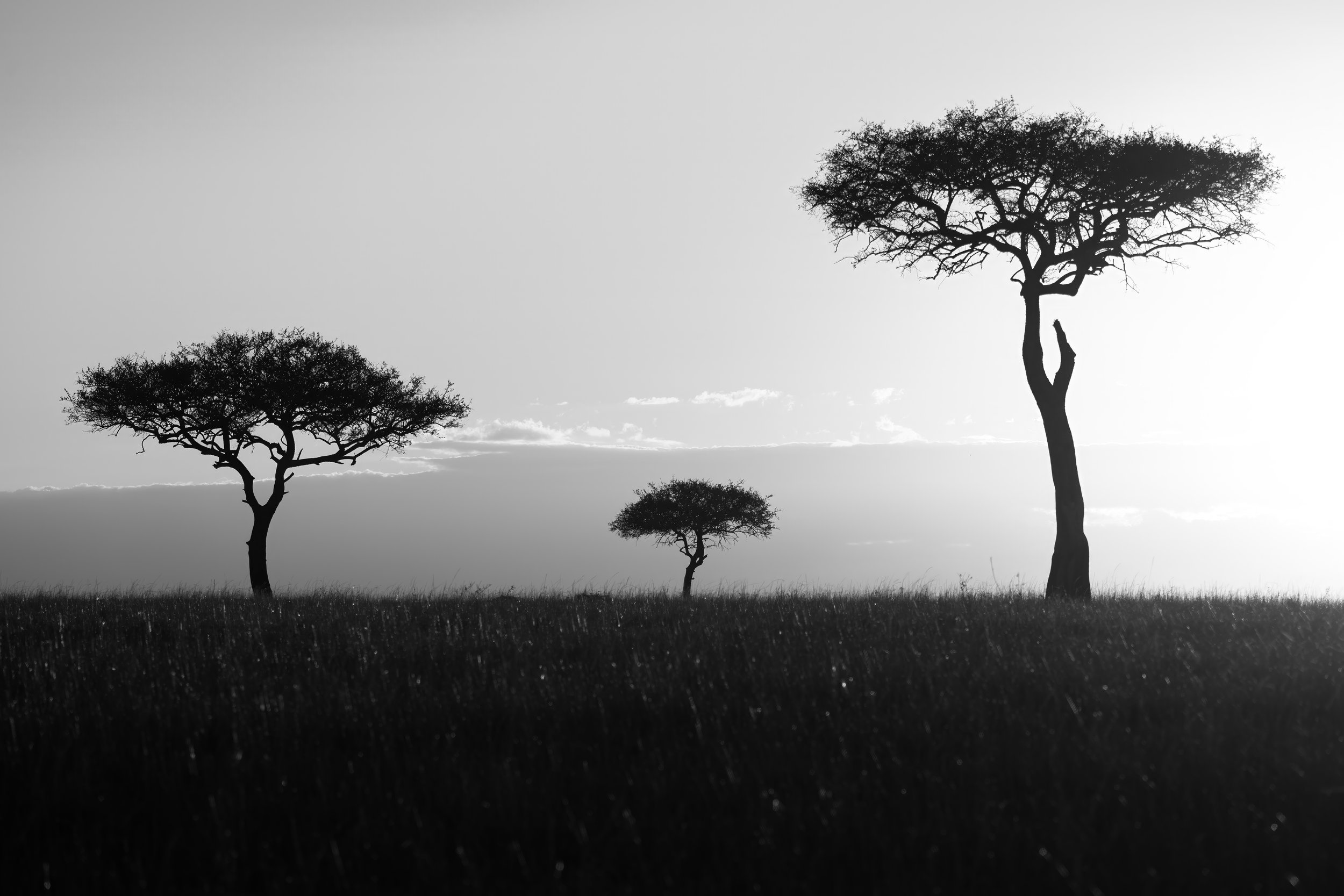 Maasai Mara Landscape 1