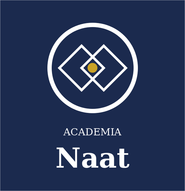 Logo with geometric shapes and a dot above the word 'NAAT' and 'ACADEMIA' below, on a dark blue background.