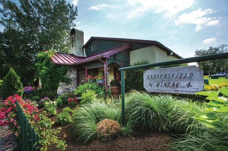 Becky Boyd & The Groove Train at Harpersfield Vineyard