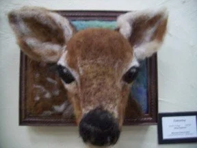A wool felted sculpture of a deer peeking out of a wooden frame, with a small informational sign nearby.