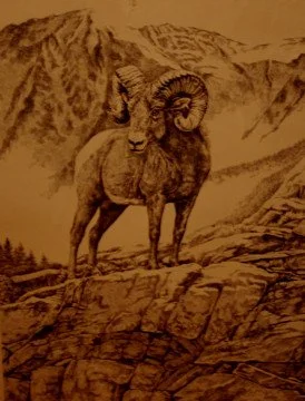 A drawing of a bighorn sheep standing on a rocky landscape with mountains in the background.