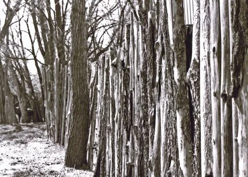 A wooden fence made of irregularly shaped logs along a snowy path in a winter forest.