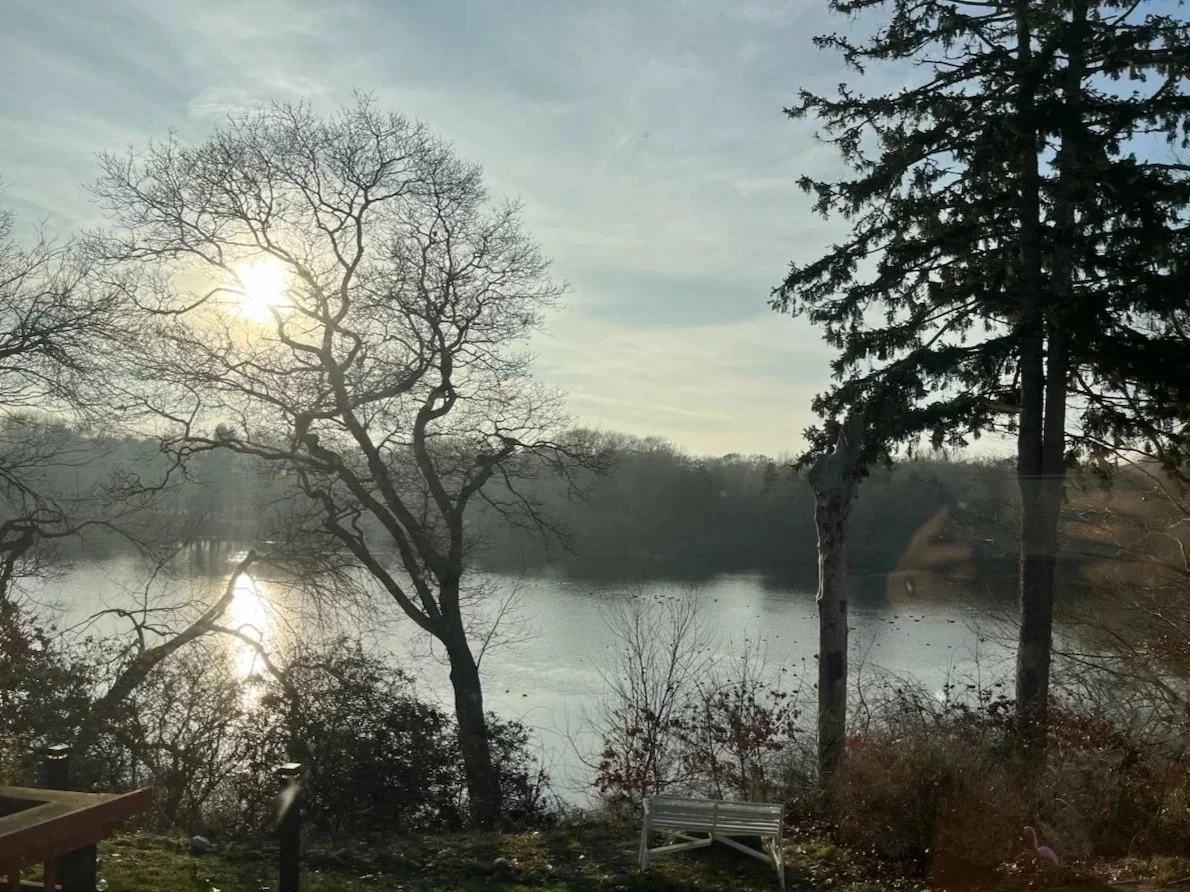 A serene scene of a lake with bare trees reflecting in the water, the sun setting or rising behind the trees, and a park bench in the foreground.