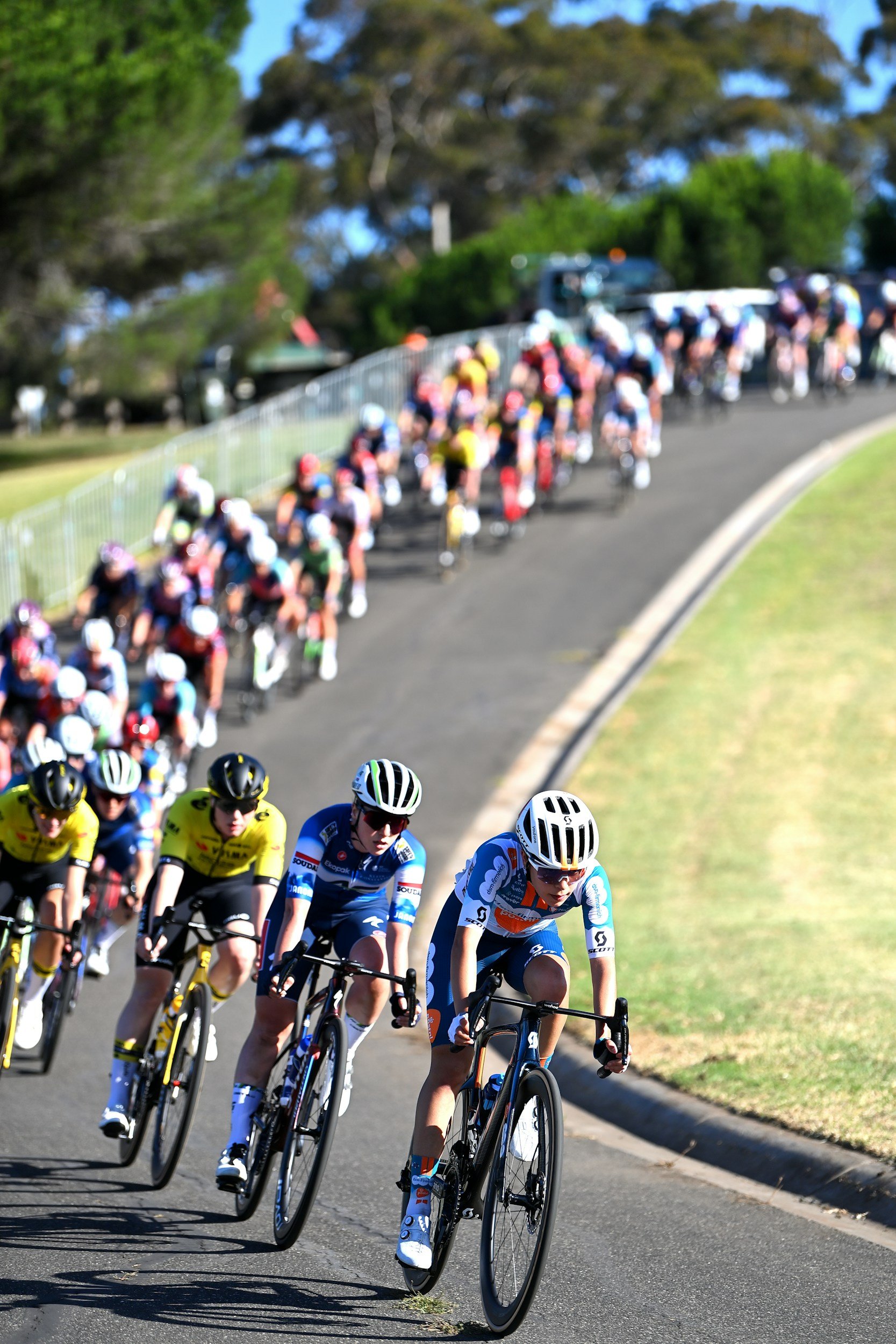 image of a long peloton of riders