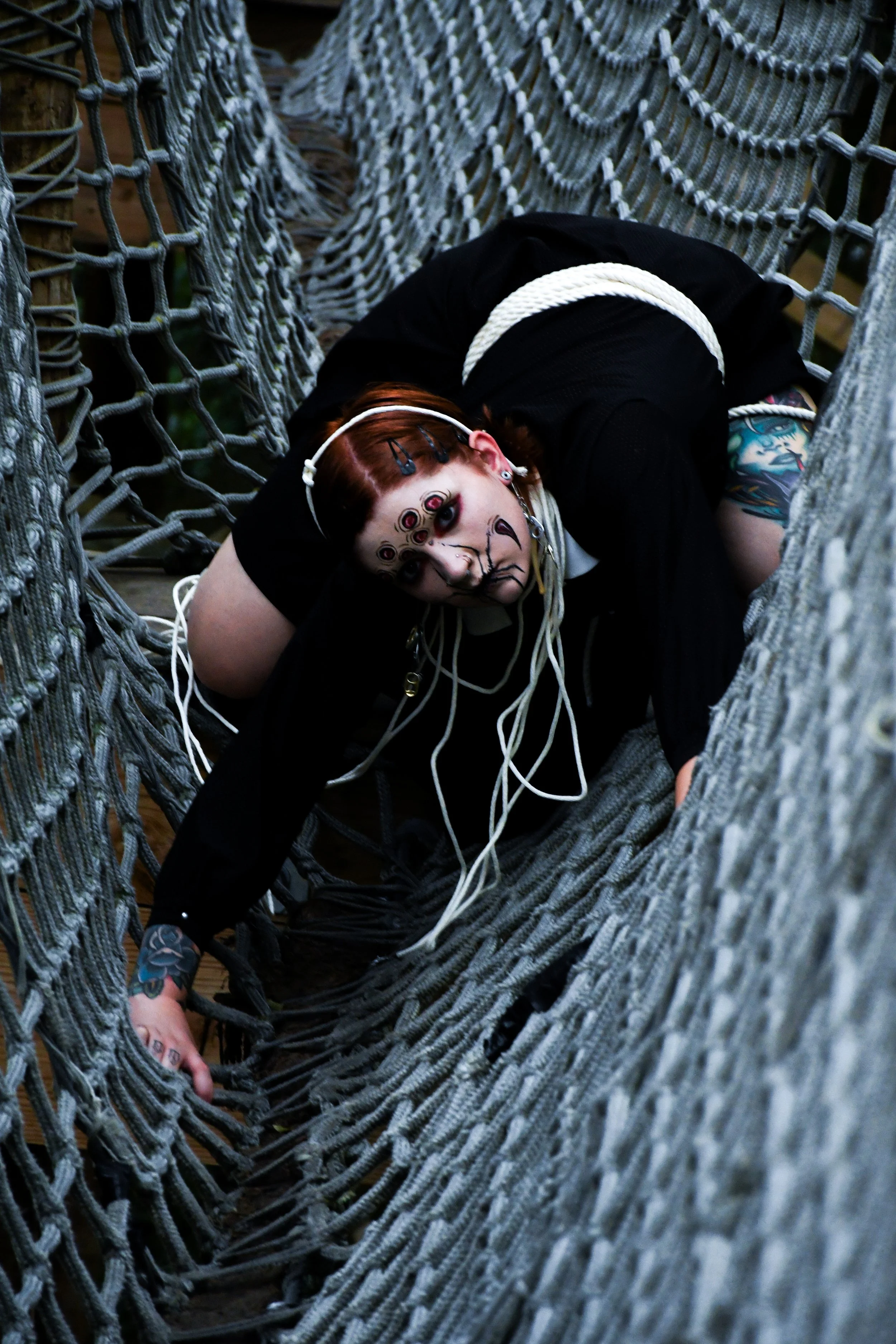 Spider-Frankie-22.jpg
