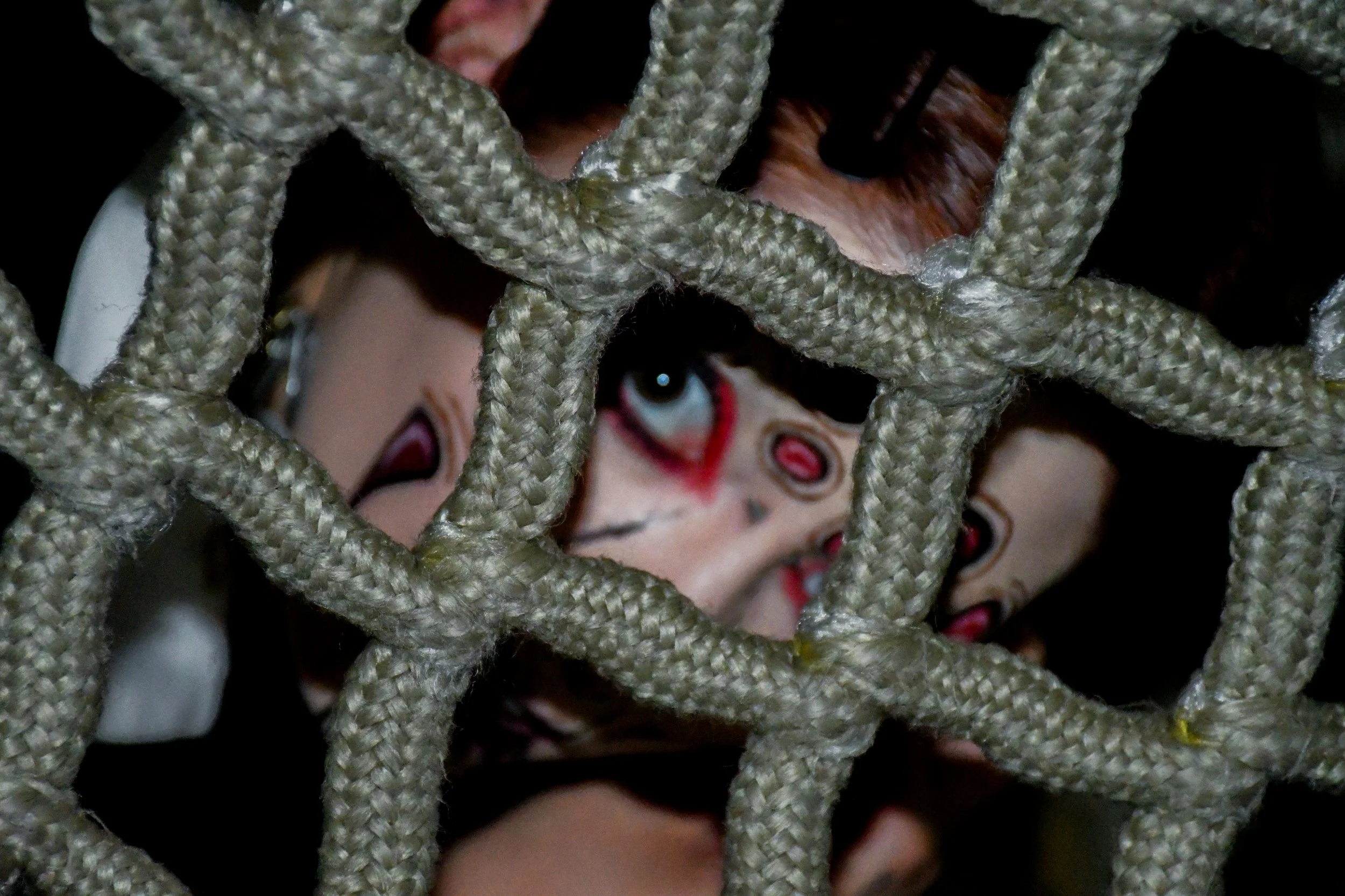 Spider-Frankie-41.jpg