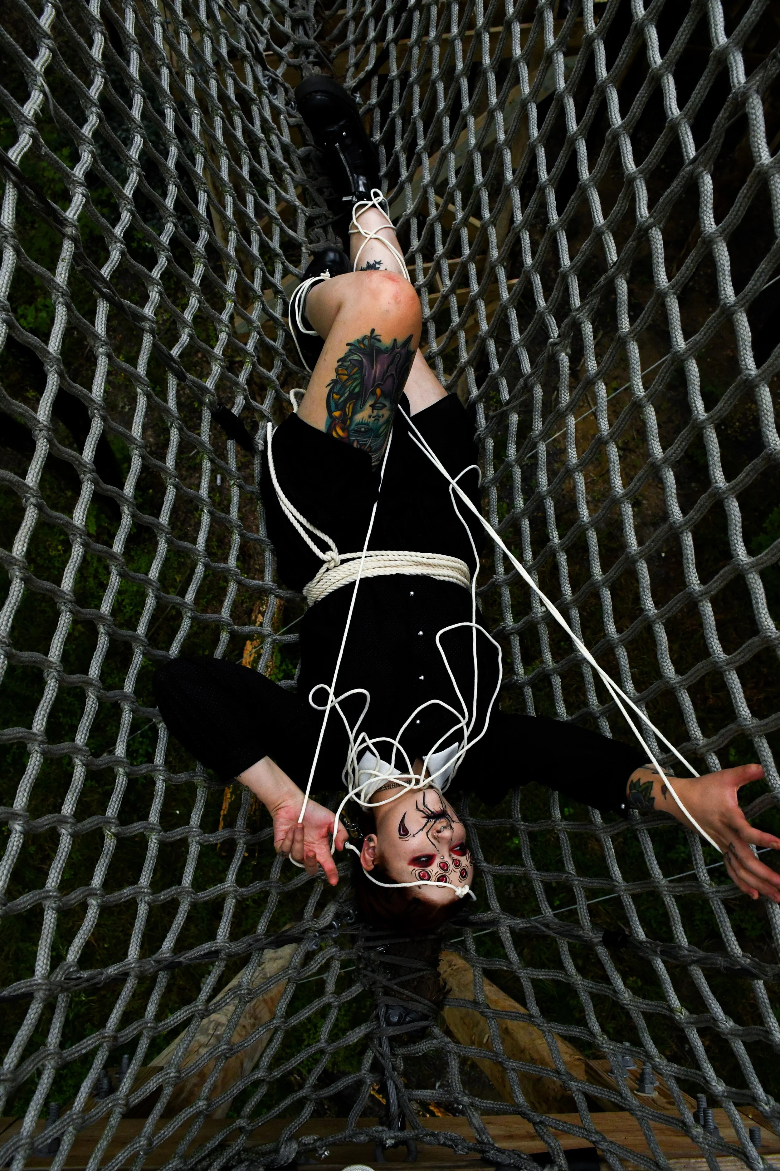 Spider-Frankie-20.jpg