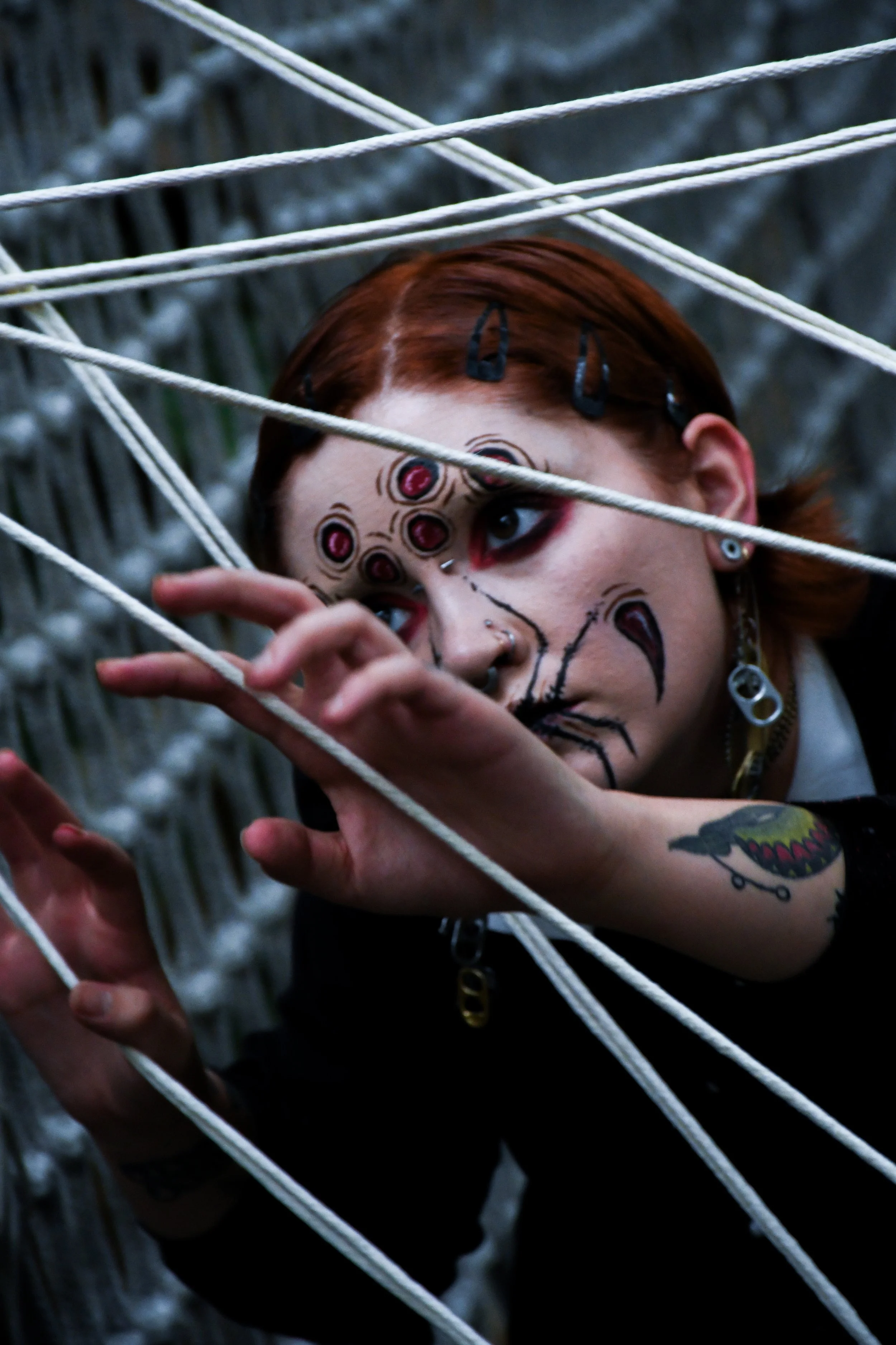 Spider-Frankie-26.jpg