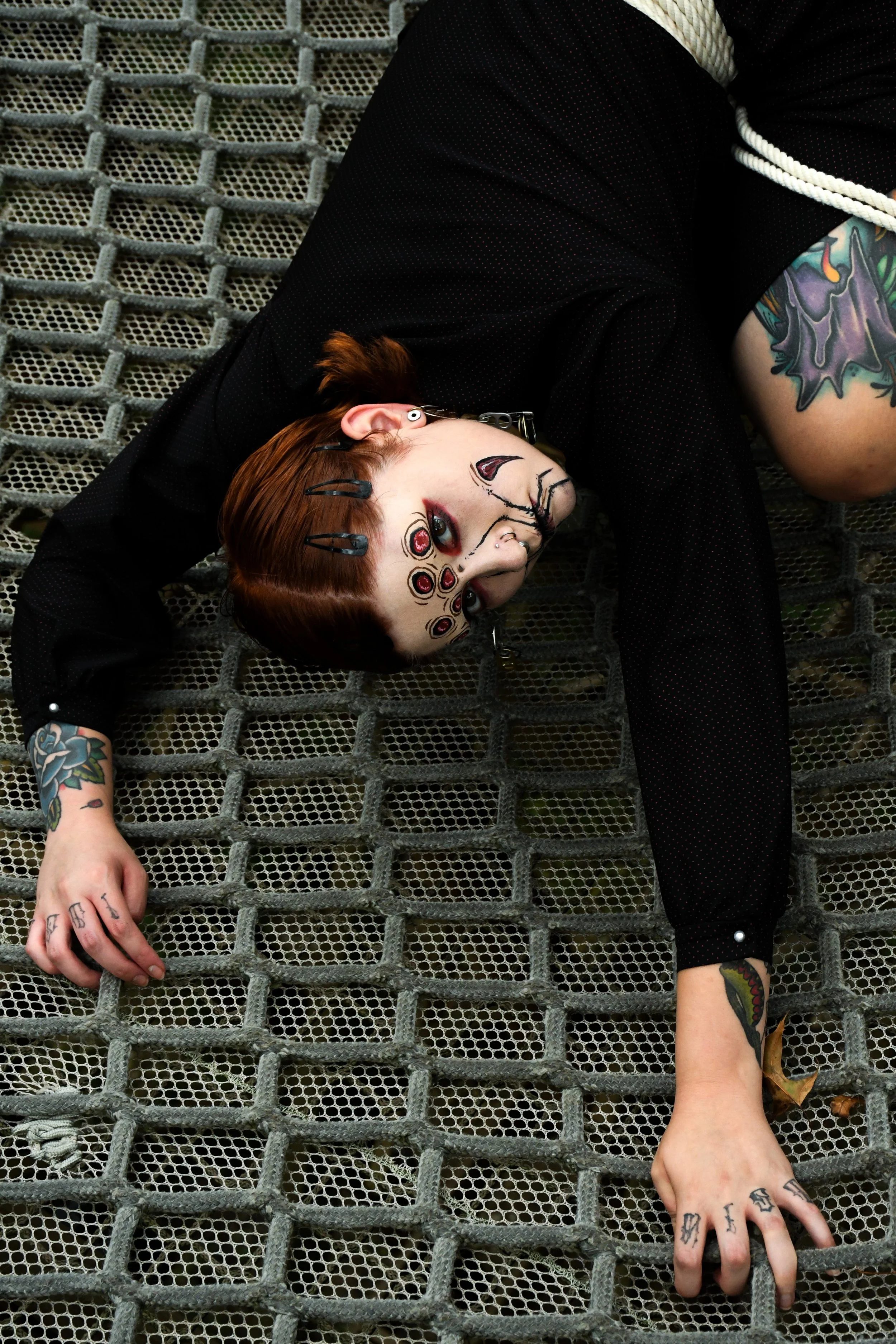 Spider-Frankie-08.jpg
