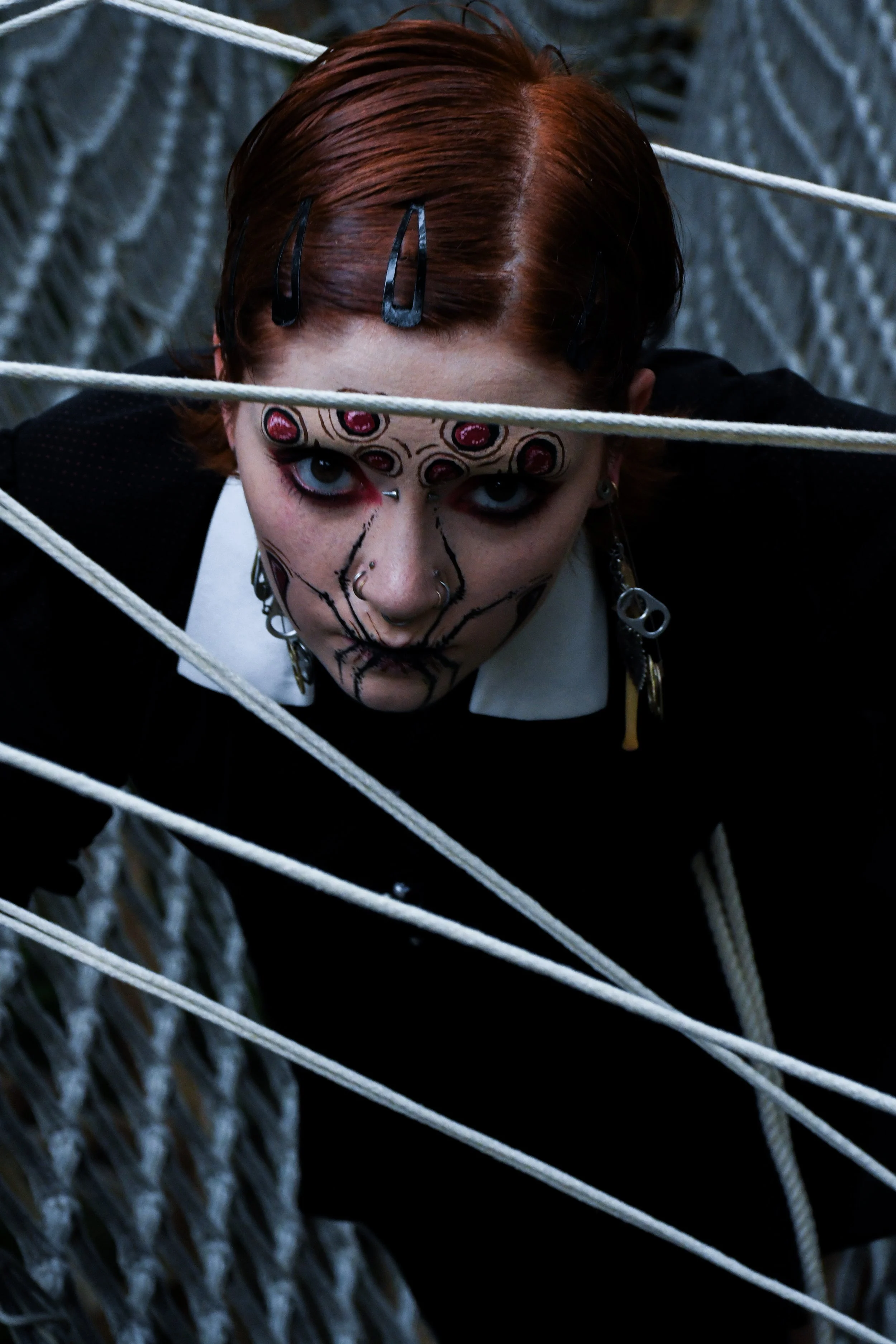 Spider-Frankie-27.jpg