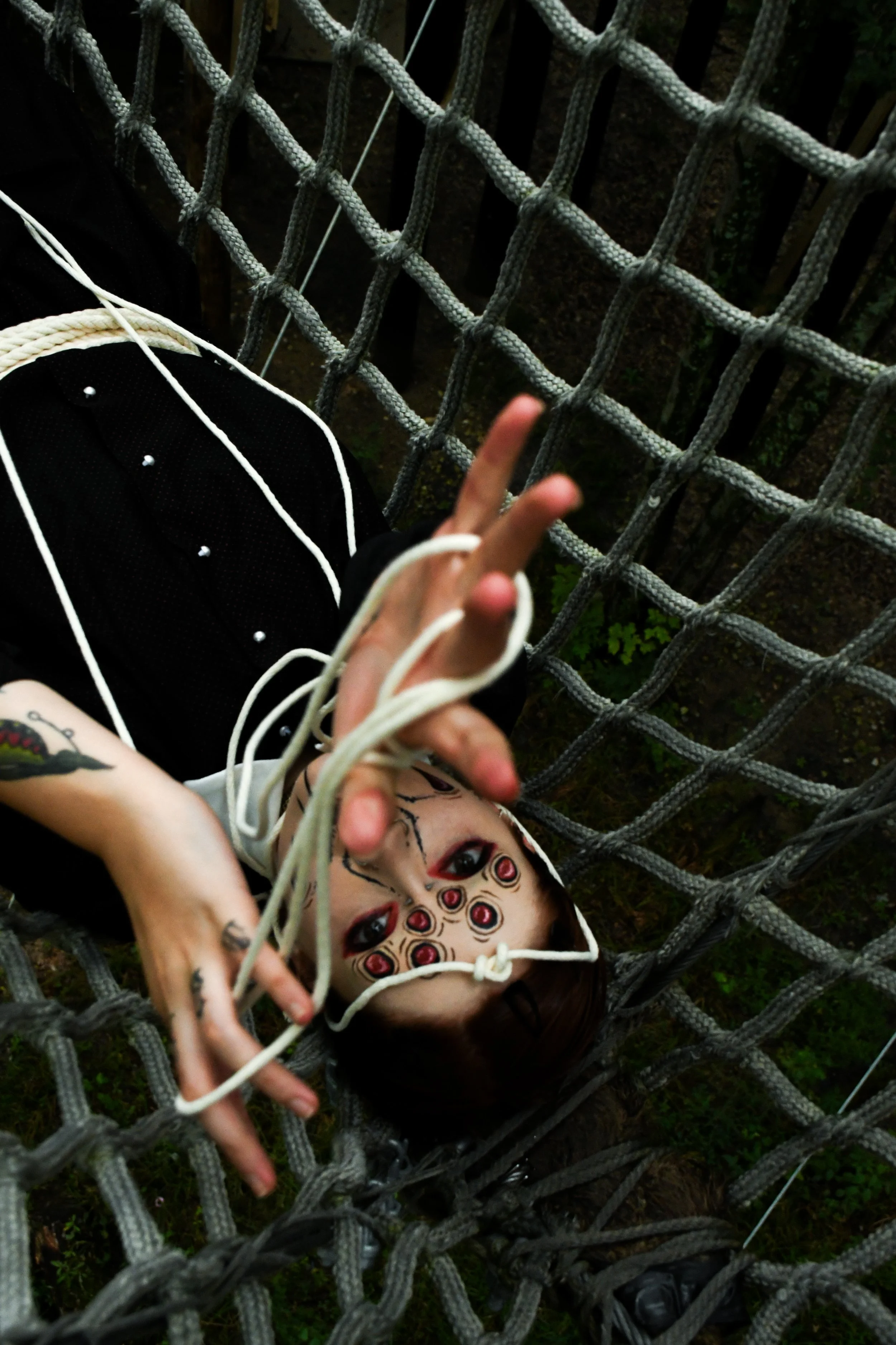 Spider-Frankie-18.jpg