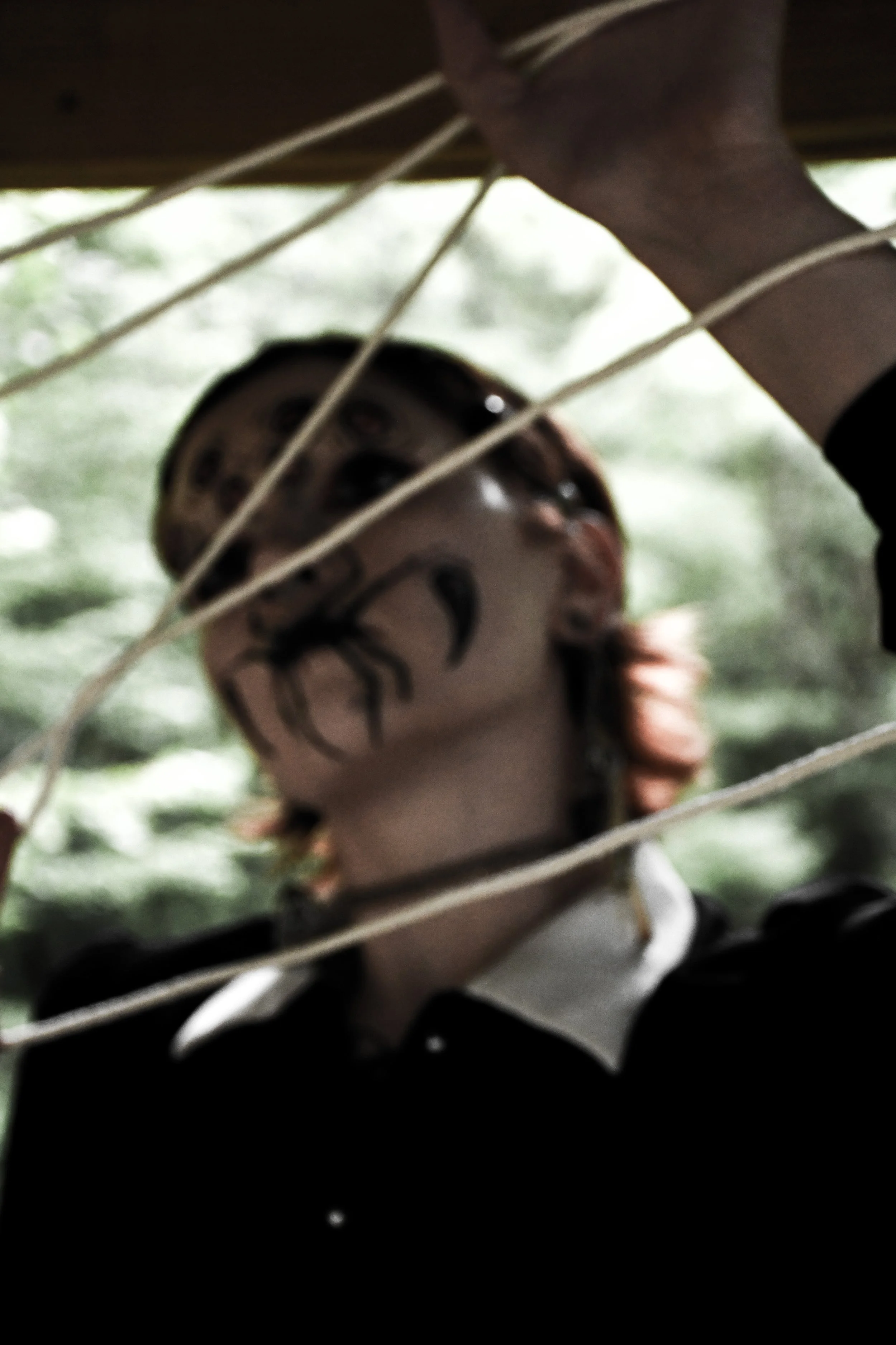 Spider-Frankie-02.jpg