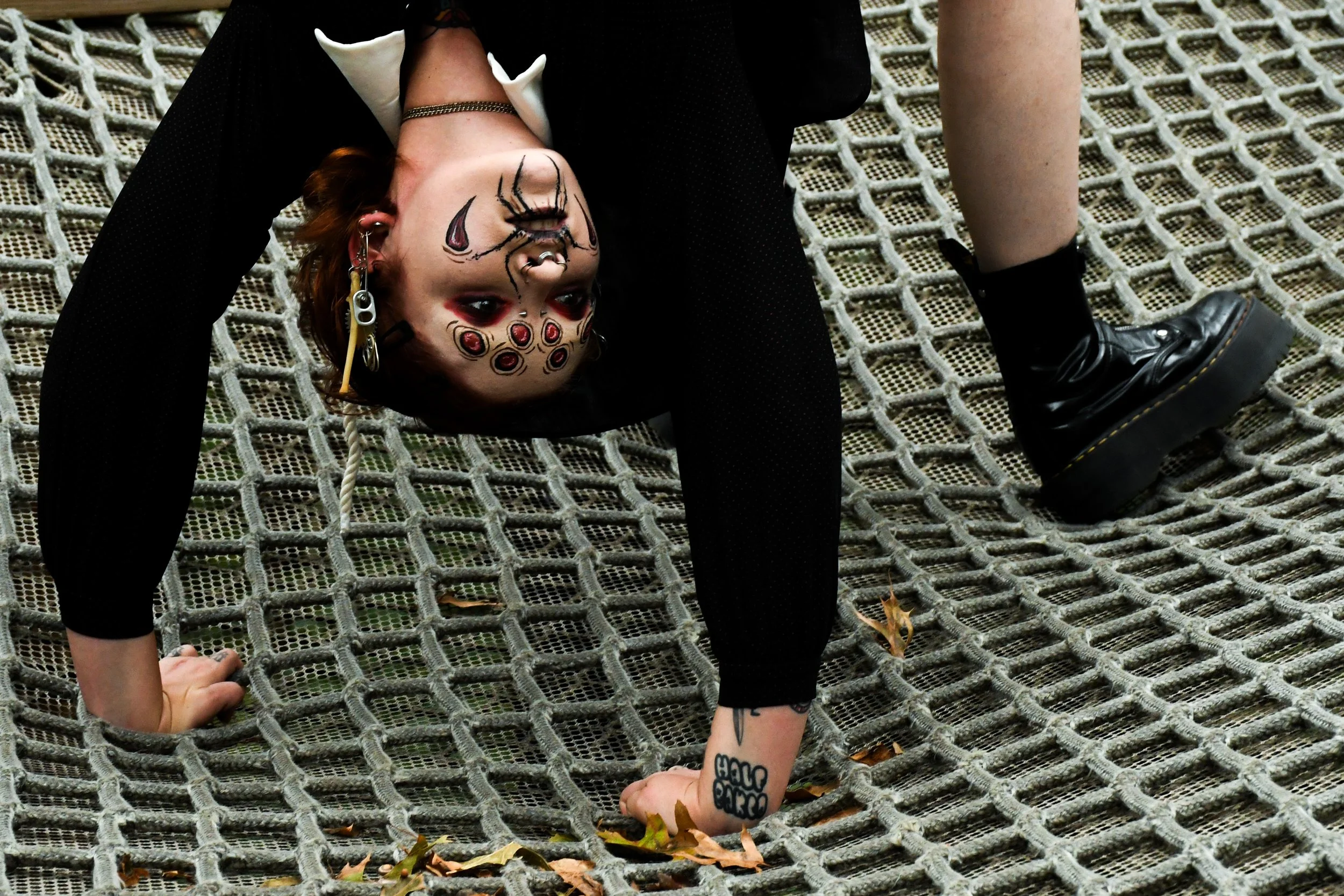 Spider-Frankie-06.jpg