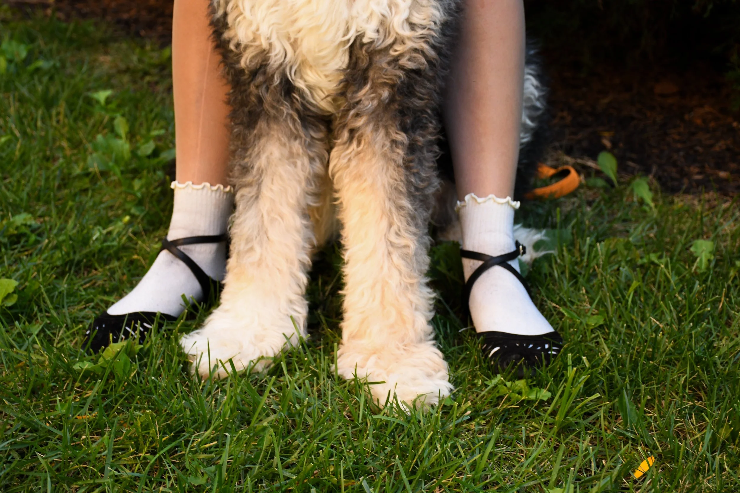 Pet-Emma-13.jpg