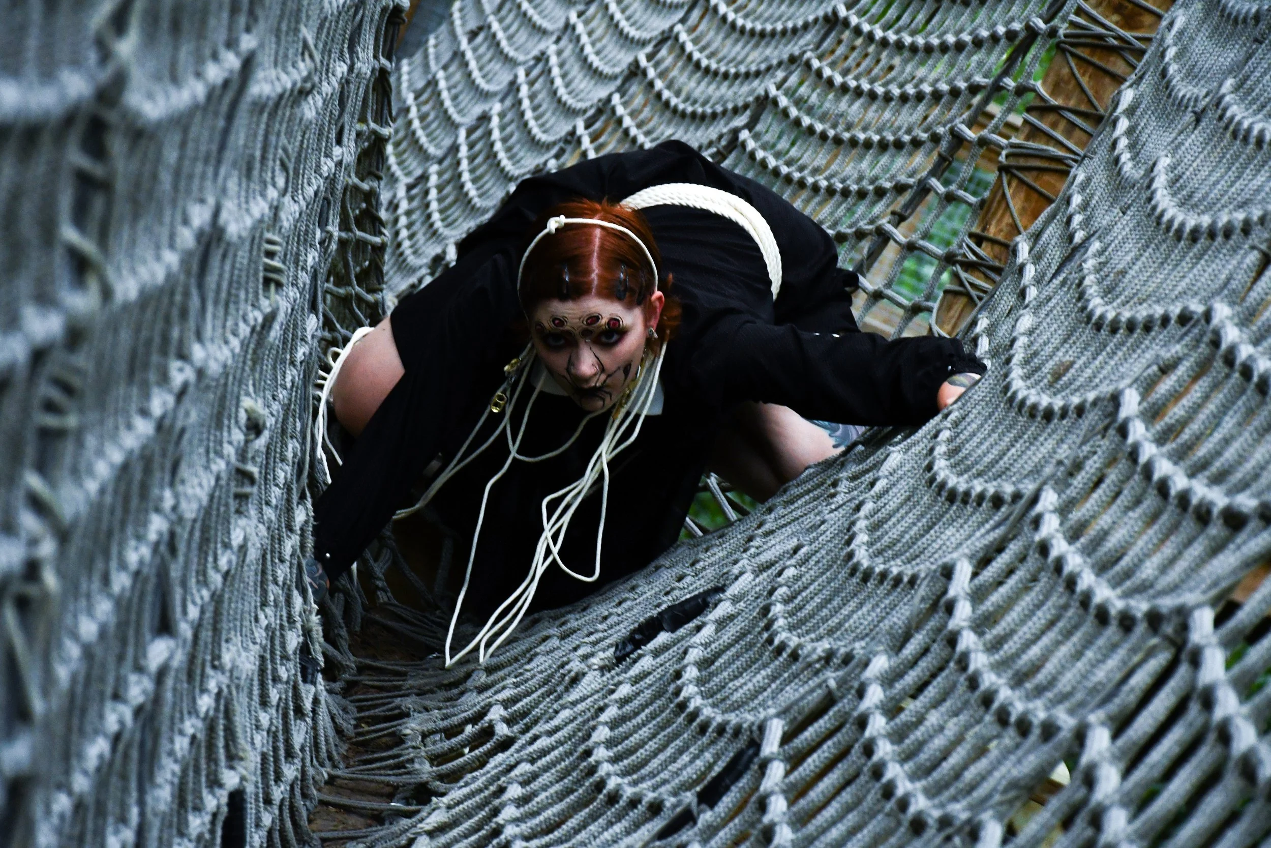 Spider-Frankie-23.jpg