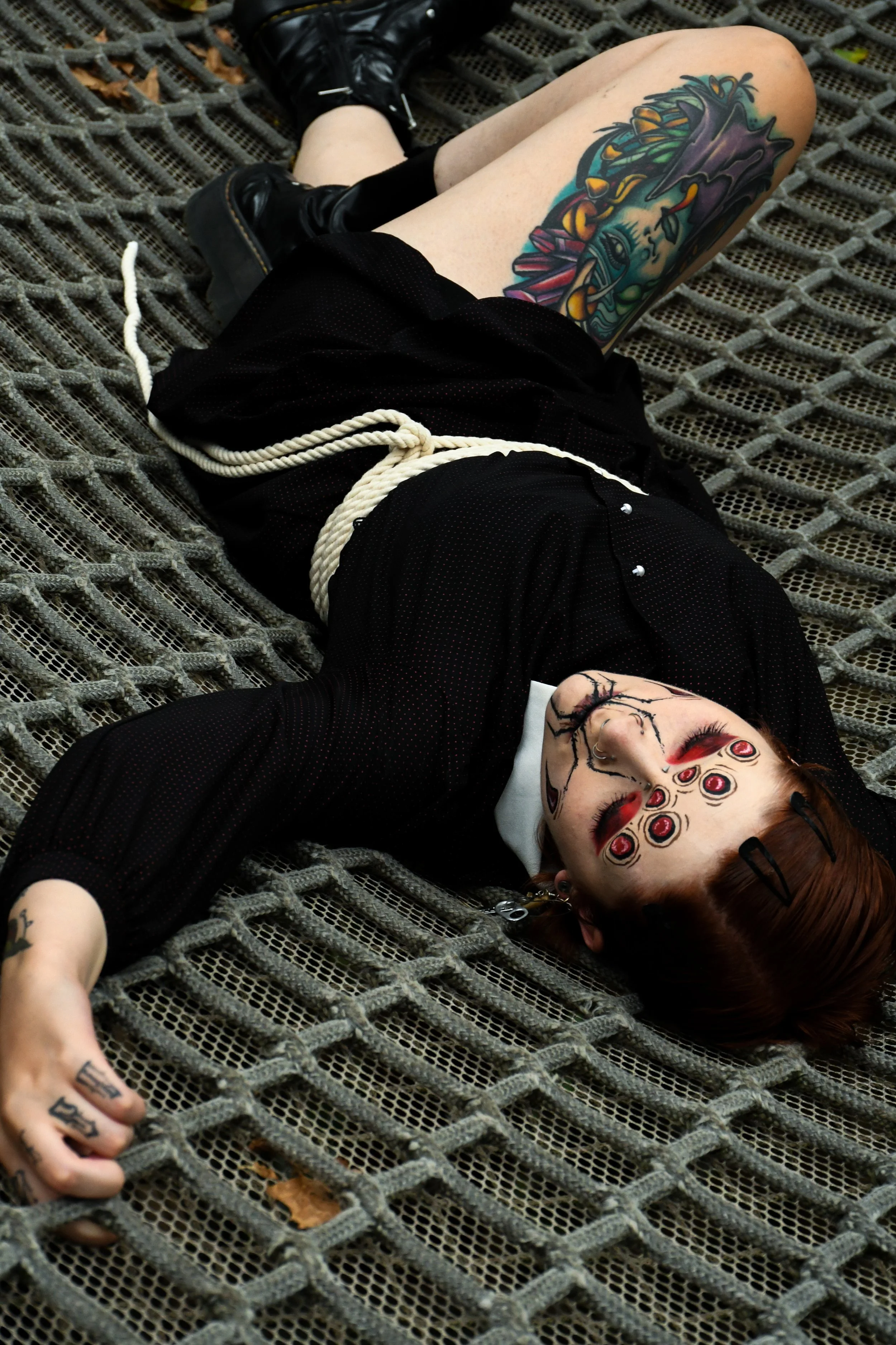 Spider-Frankie-09.jpg