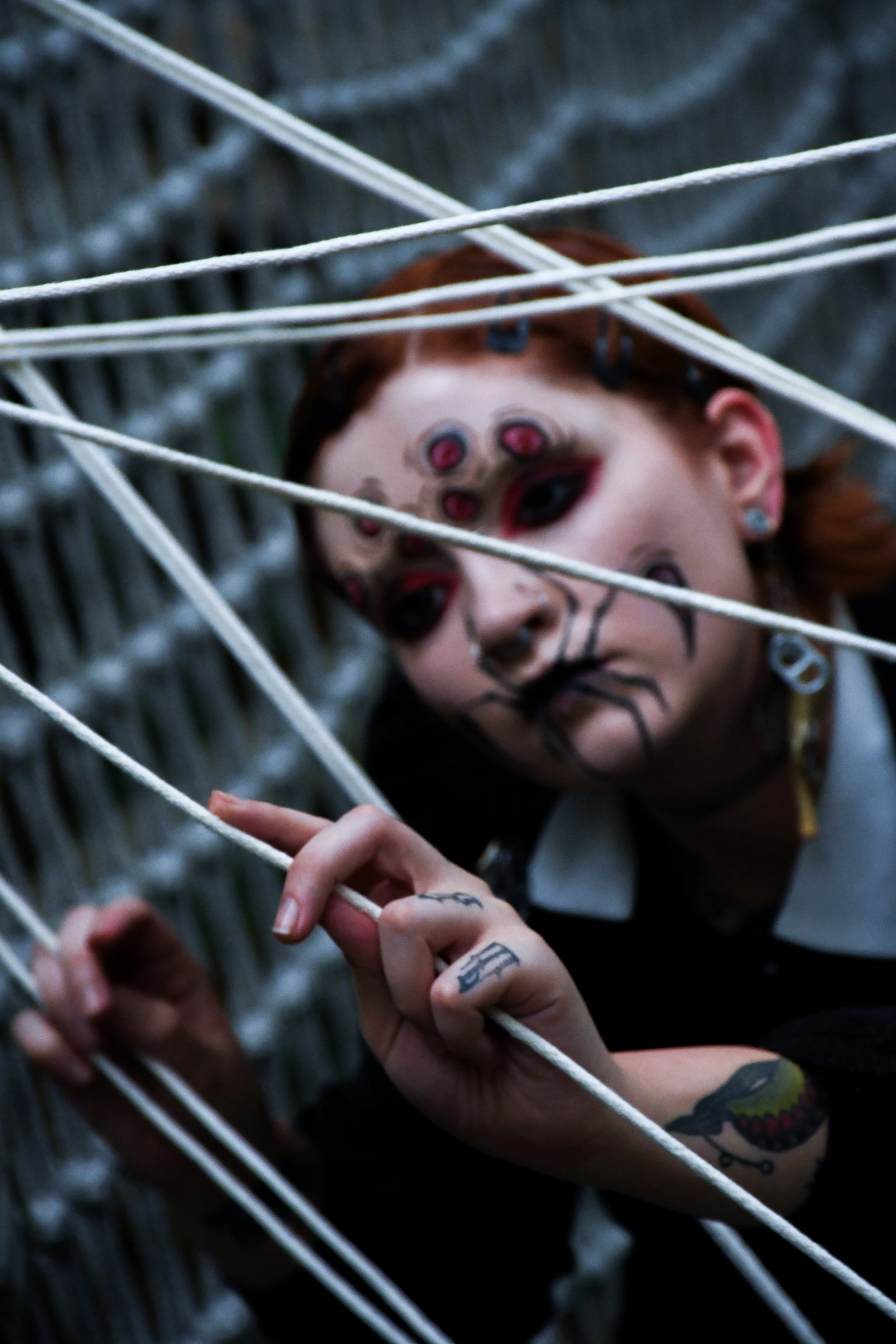 Spider-Frankie-25.jpg
