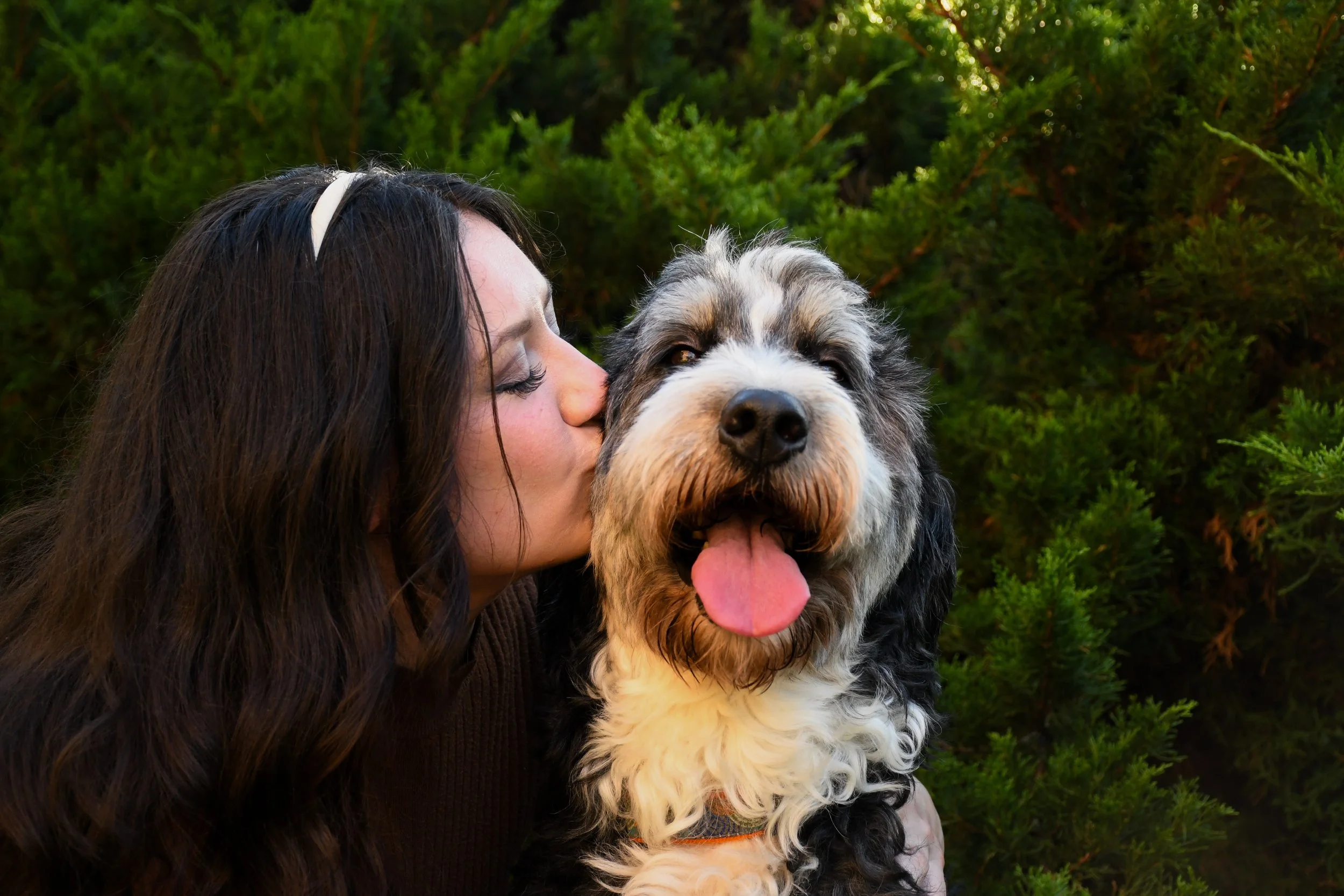 Pet-Emma-14.jpg