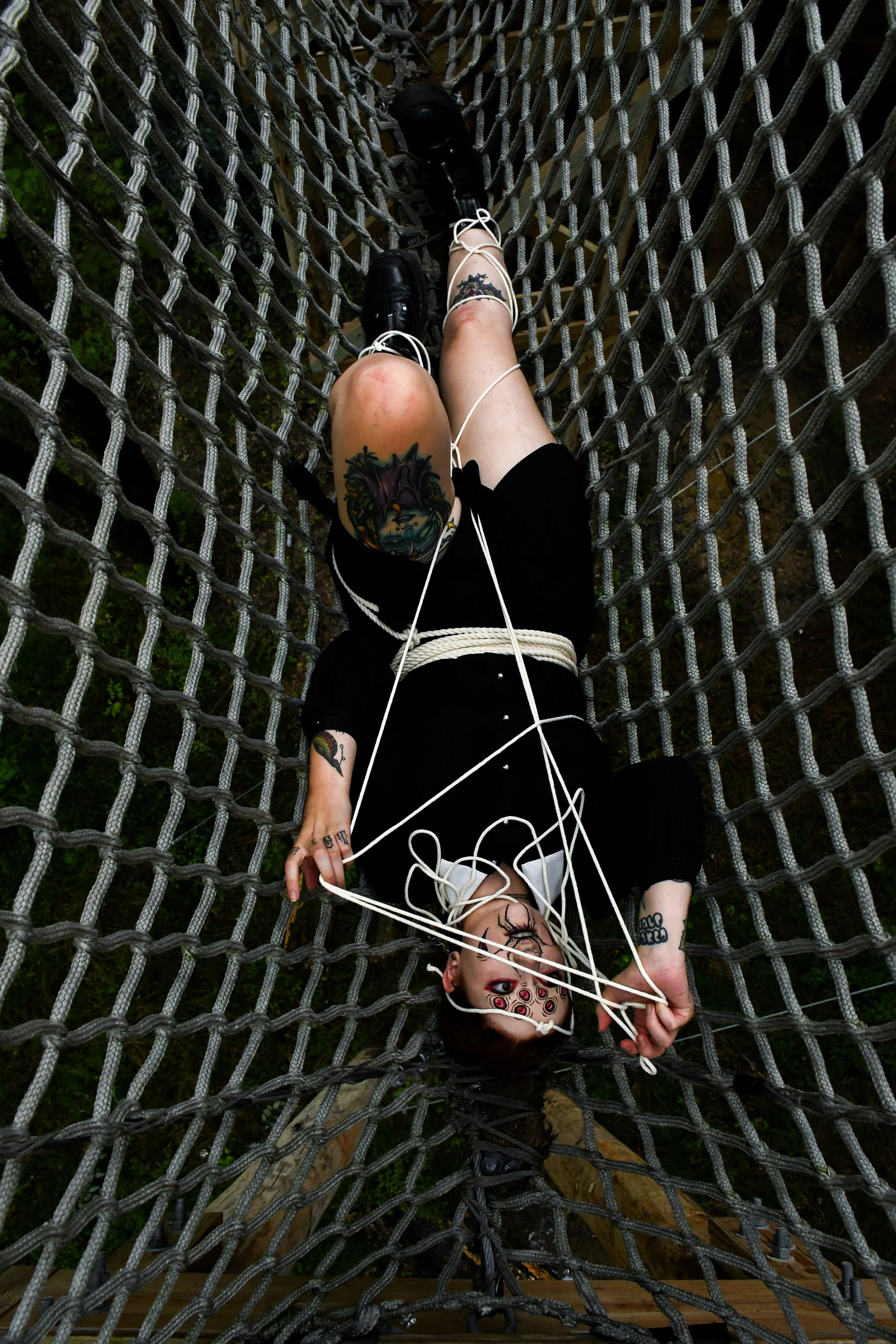Arachnid