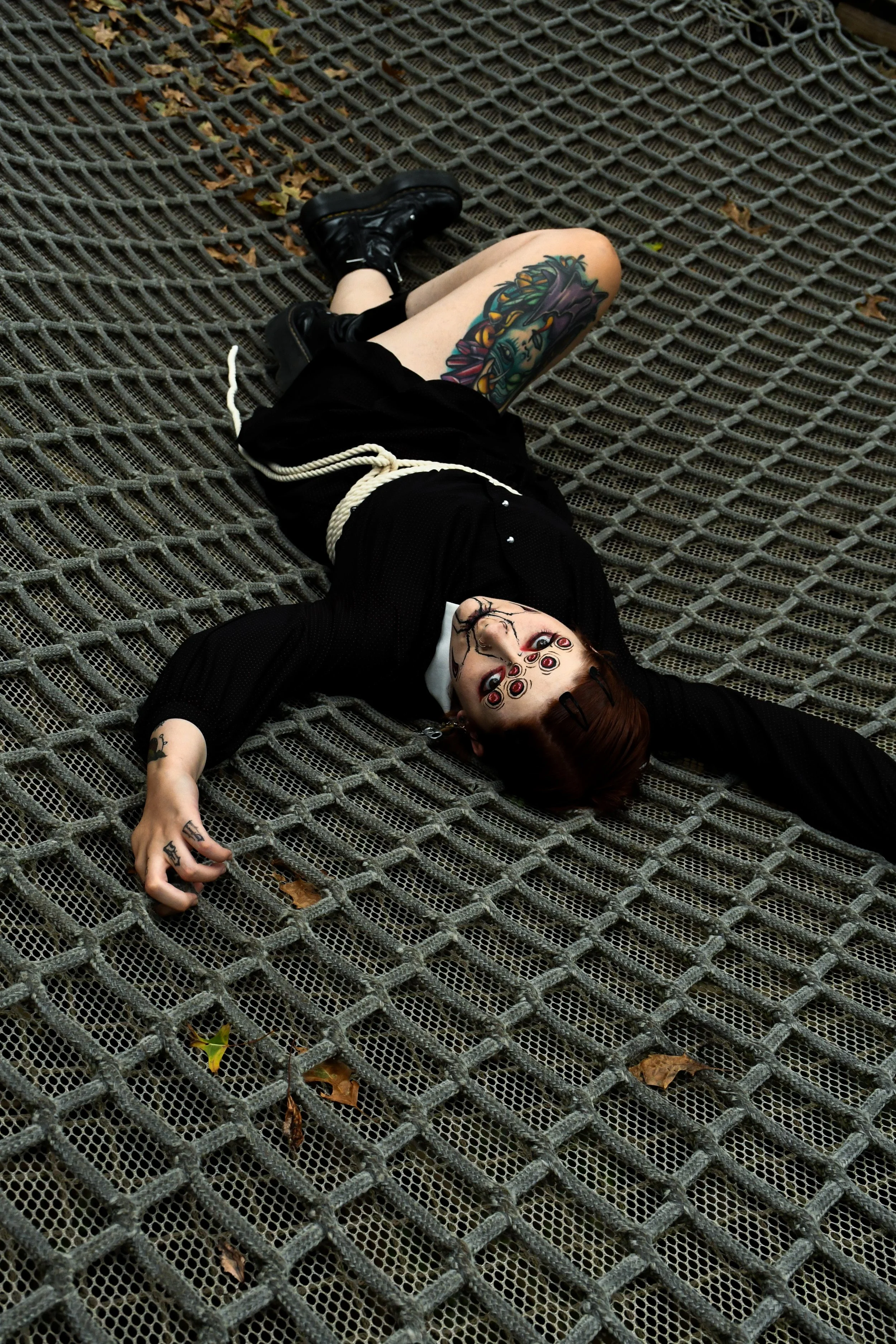 Spider-Frankie-10.jpg