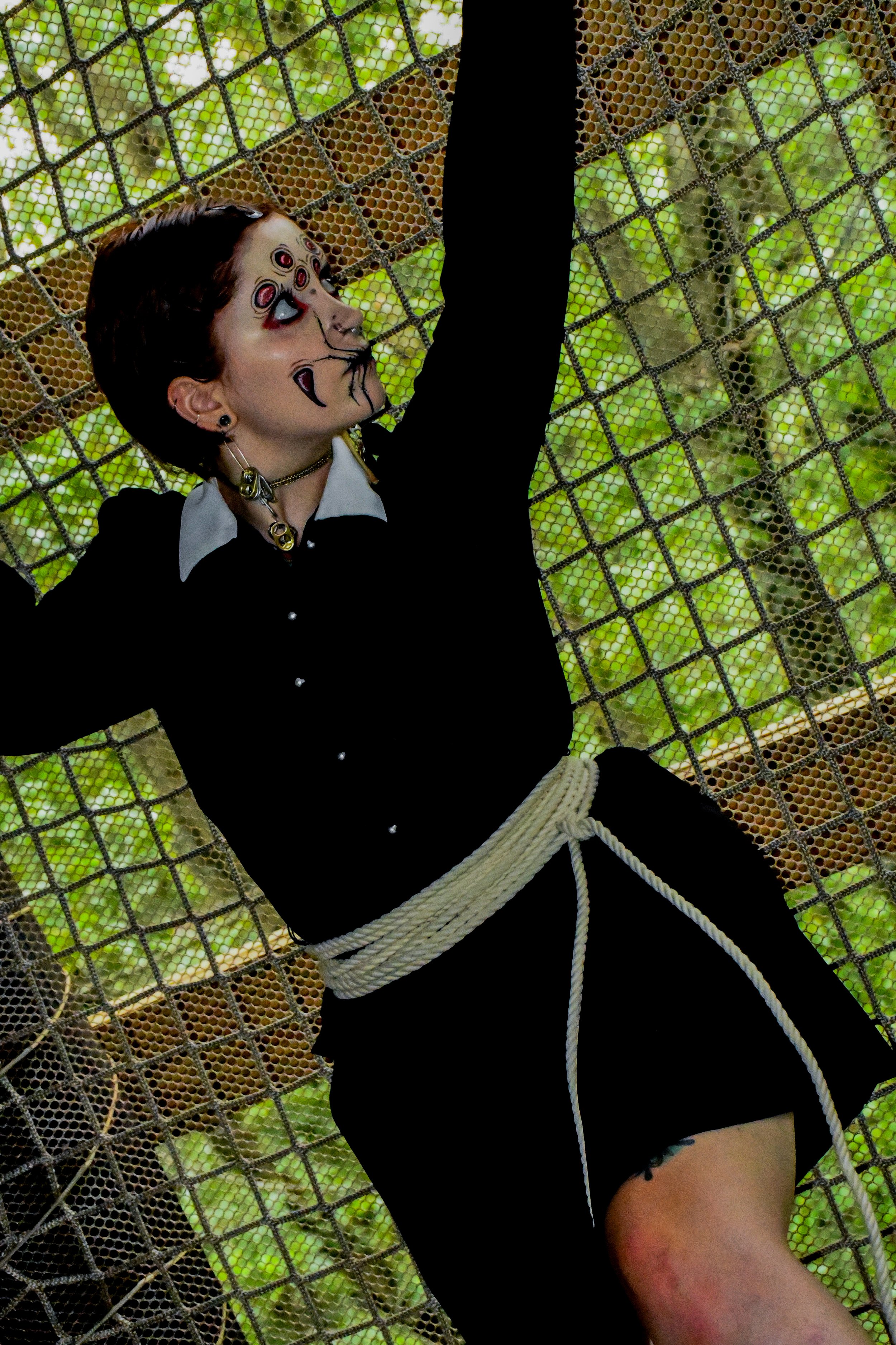 Spider-Frankie-34.jpg