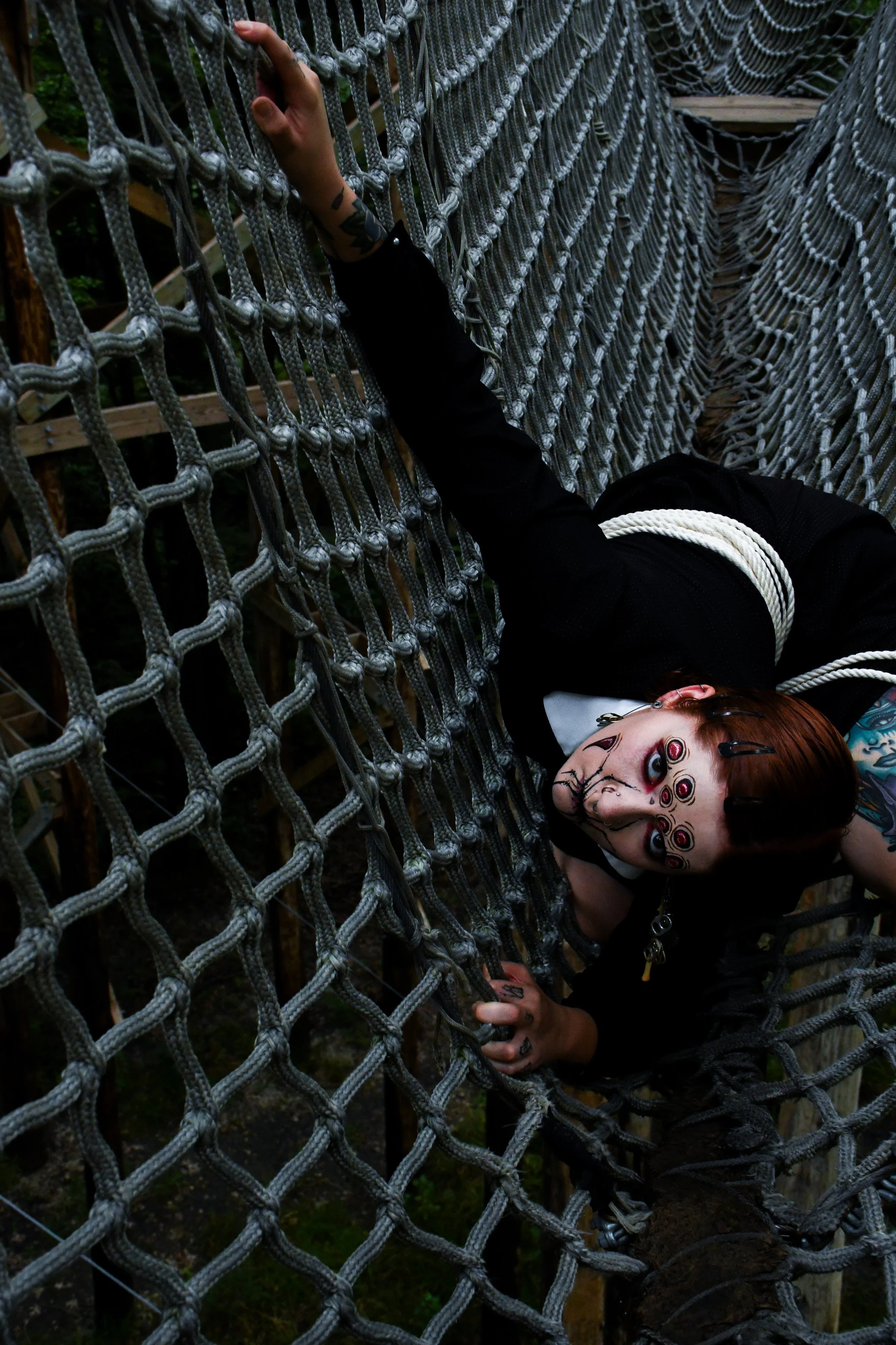 Spider-Frankie-30.jpg