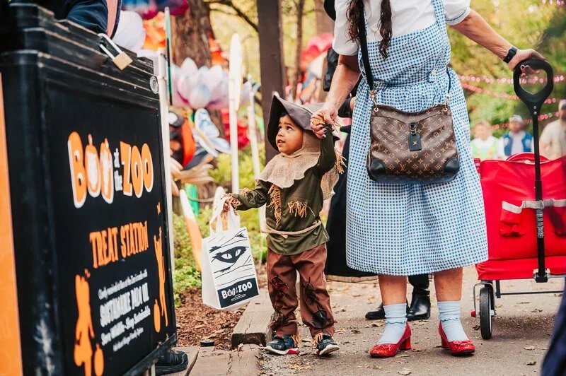 Nashville | Boo at the Zoo