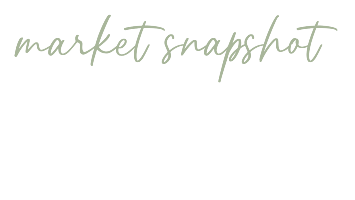 Title image with the words 'market snapshot' in large, cursive font at the top and a blank space below for content.