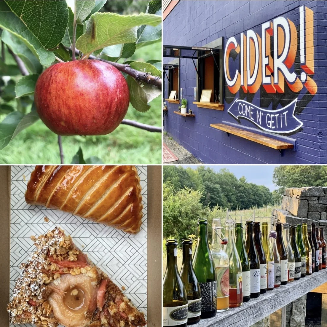 Portland, TN Apple Cider Festival at Bottom View Farms