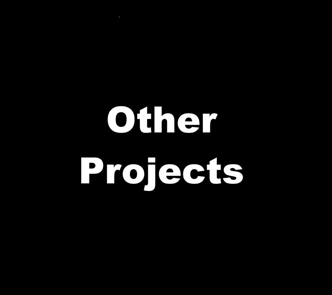 Gallery Title- Other Projects.jpg