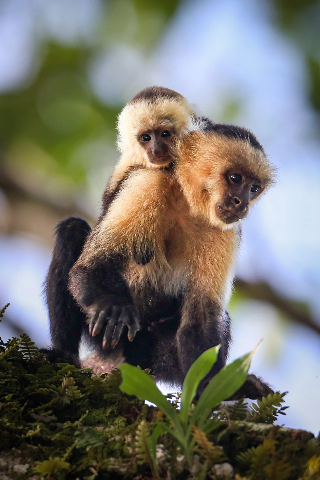 Mama&Baby-1393.jpg