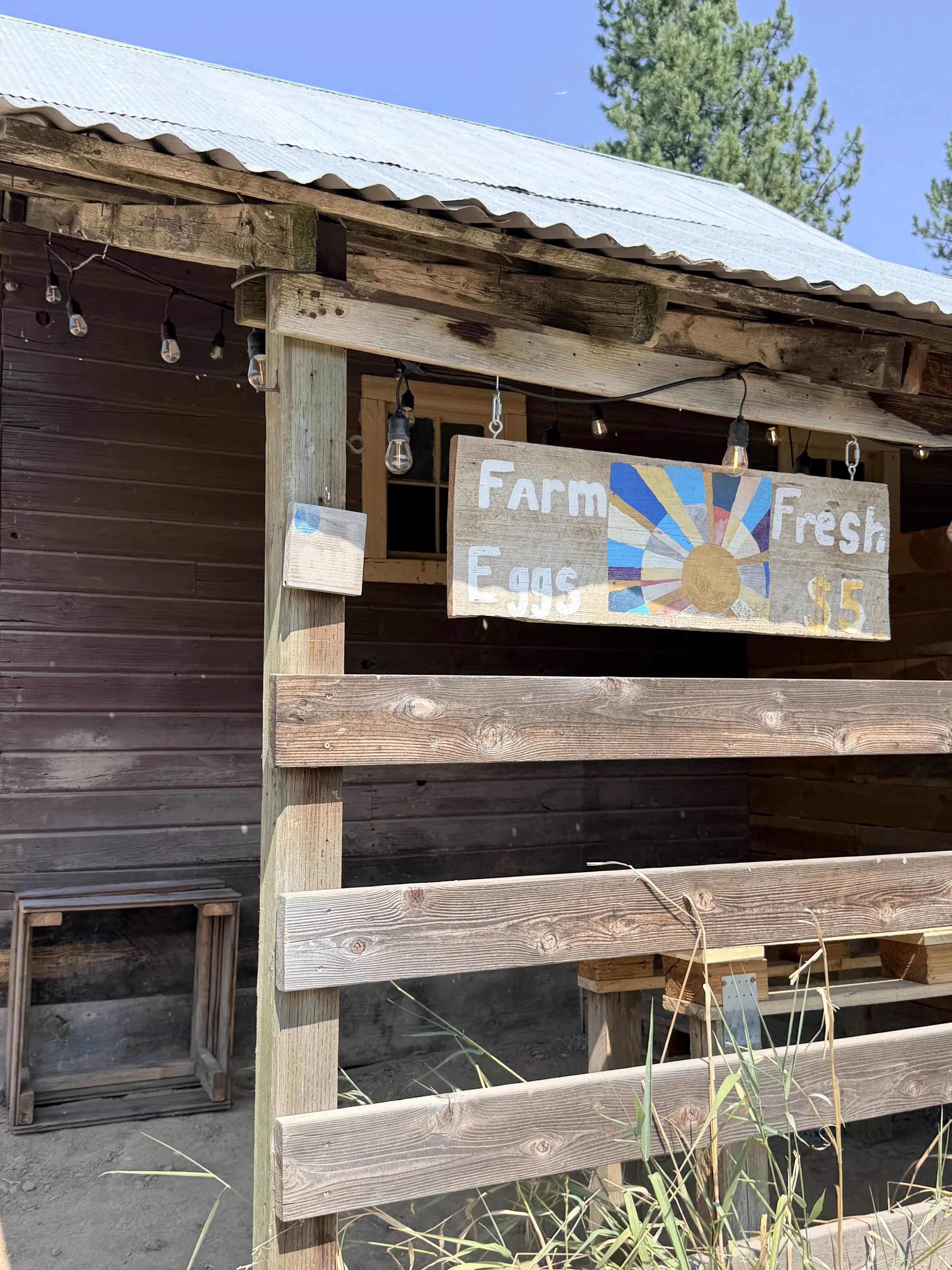 A rustic wooden sign hangs from a wooden structure advertising farm-fresh eggs for five dollars. The sign is painted with a colorful sunburst design and the words 'Farm Eggs' and 'Fresh' in white letters.