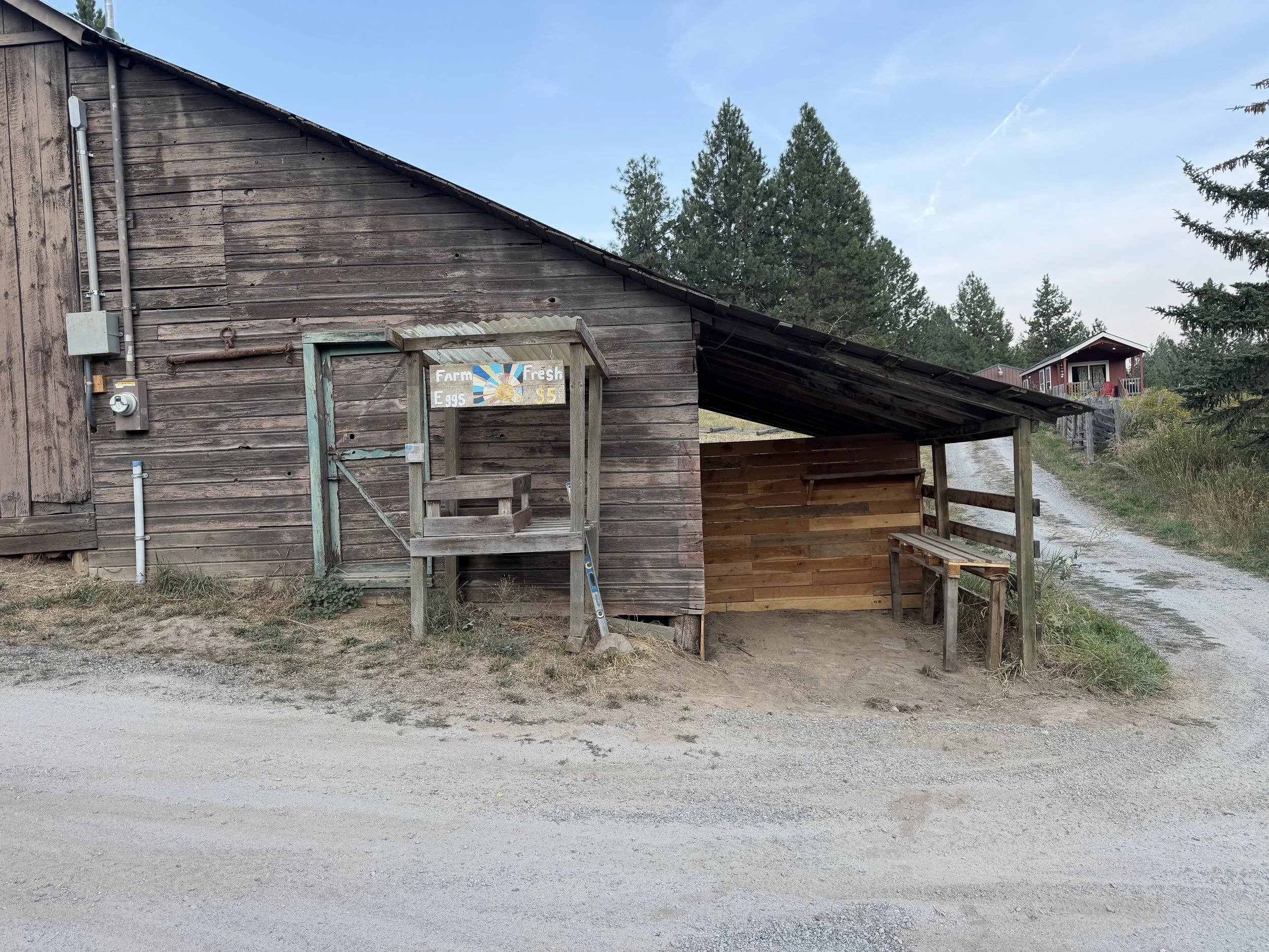 A wooden barn with a porch area and a handwritten sign advertising farm-fresh eggs for $5 per dozen. The barn is weathered and has some electrical wiring on the side. There are trees and a dirt path in the background, with a small house visible in th