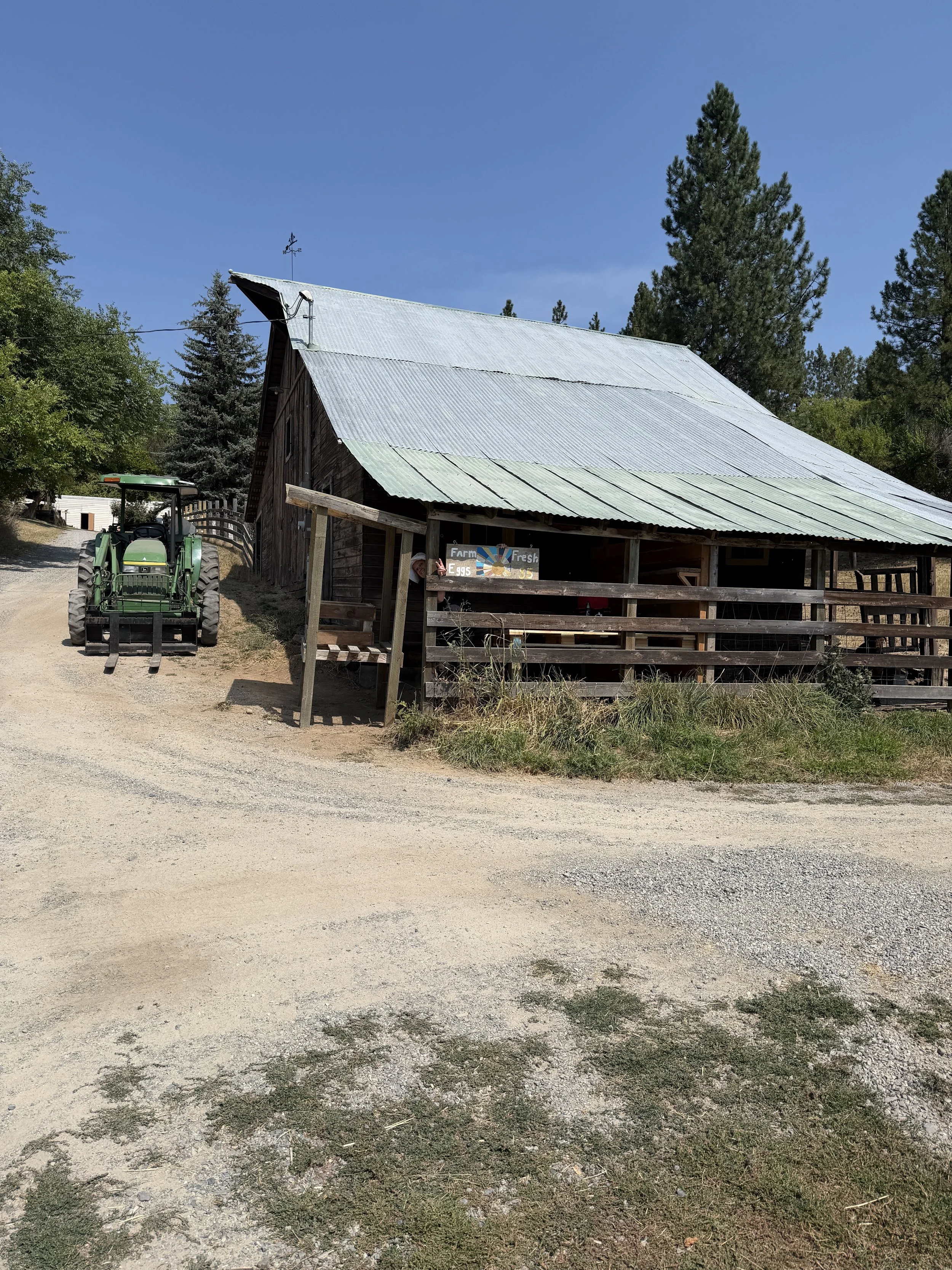 A rustic farm scene featuring a weathered wooden barn with a corrugated metal roof, surrounded by tall green trees. There is a tractor parked on the dirt path, and a sign on the barn reads 'Farm Fresh Eggs.' The sky is clear and blue, indicating a su