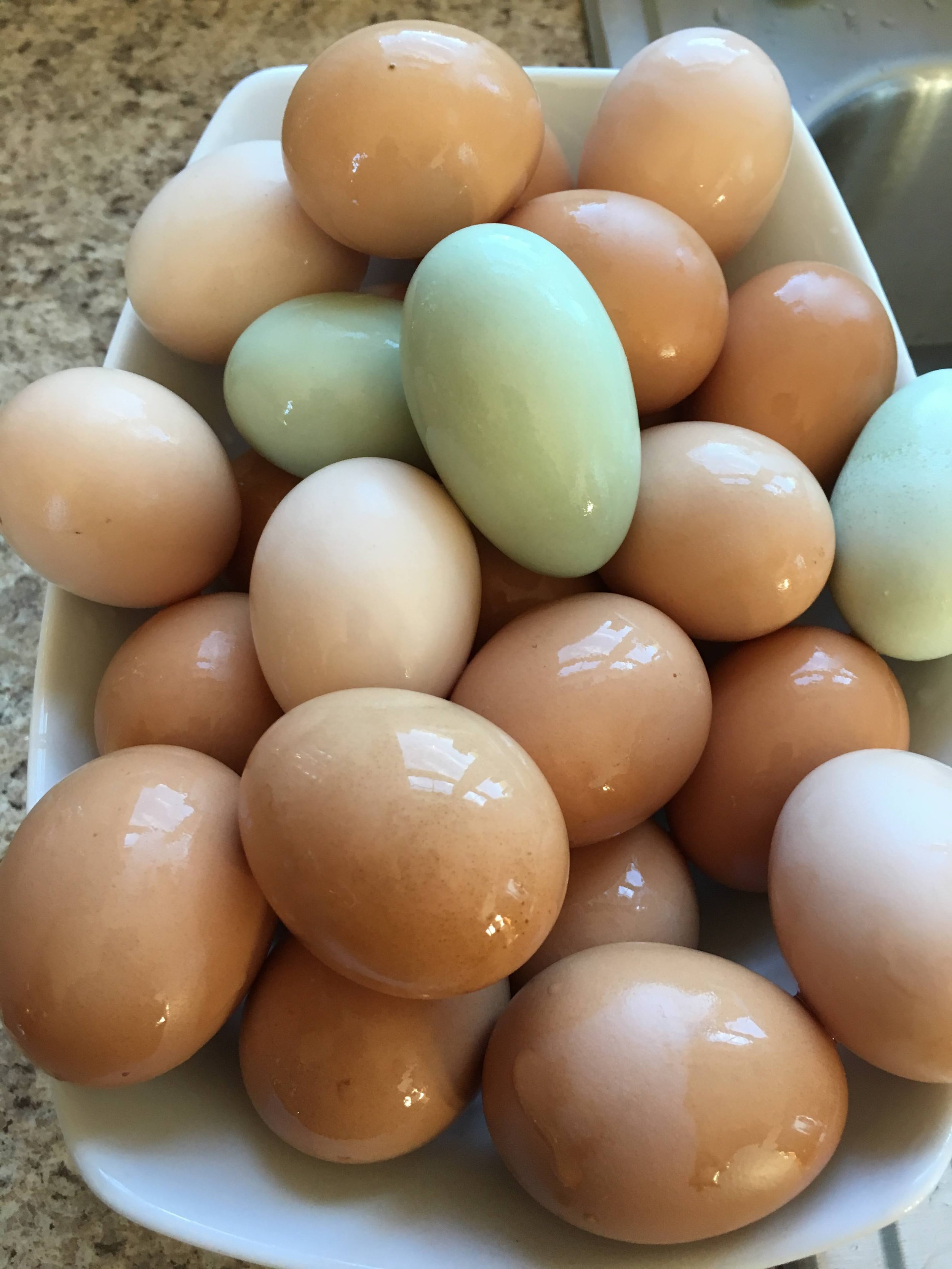 A white bowl filled with brown and light green eggs placed on a kitchen countertop.