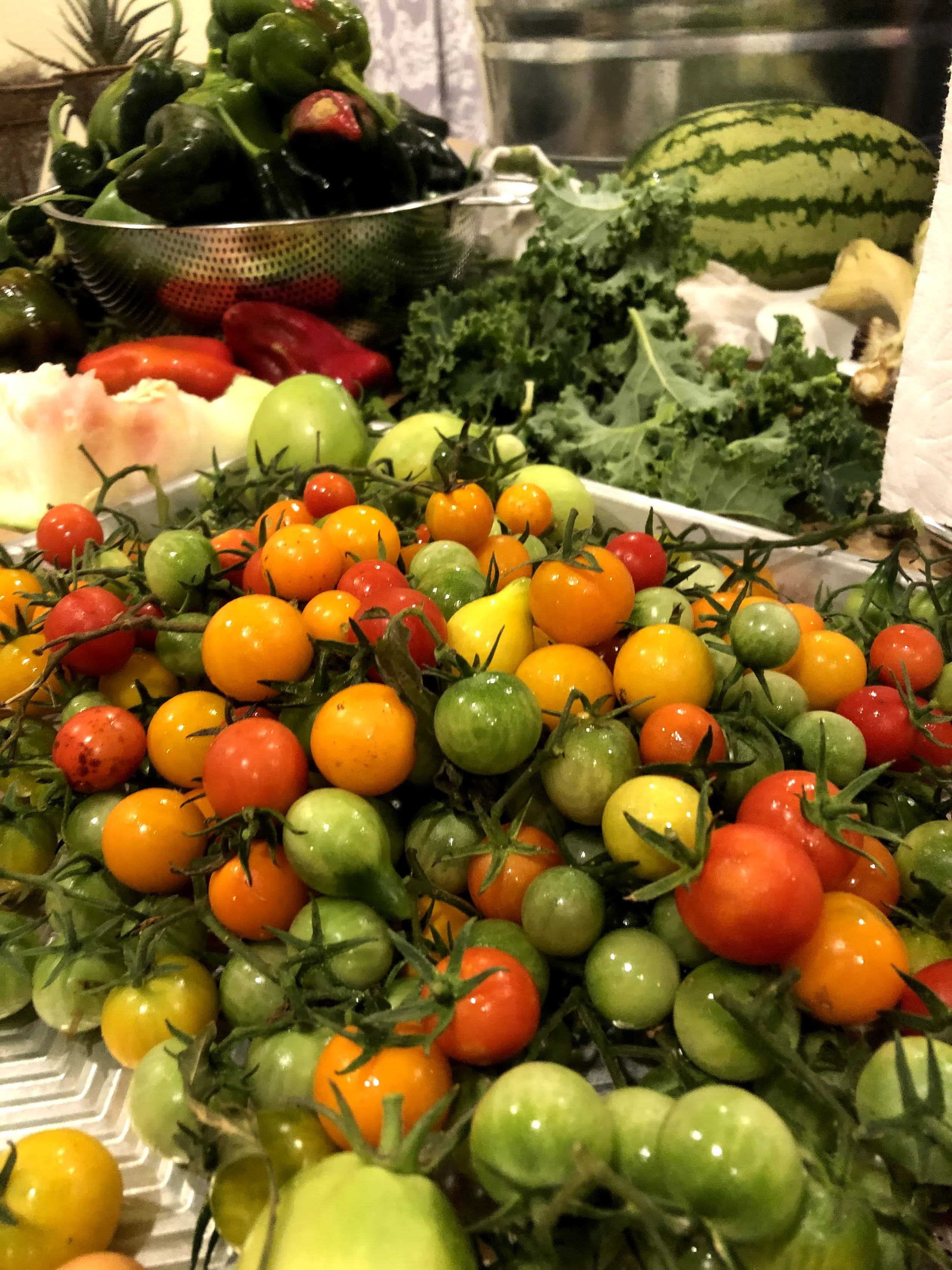 A variety of fresh vegetables, including cherry tomatoes in shades of green, yellow, orange, and red, a watermelon, kale, and other vegetables on a kitchen countertop.