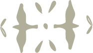 Symmetrical decorative pattern with abstract shapes in beige and green on a white background.