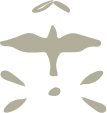 Silhouette of a bird in flight with abstract shapes surrounding it.