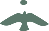 Silhouette of a bird in flight with outstretched wings