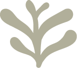 Stylized graphic of a small plant or leaf in a minimalist design